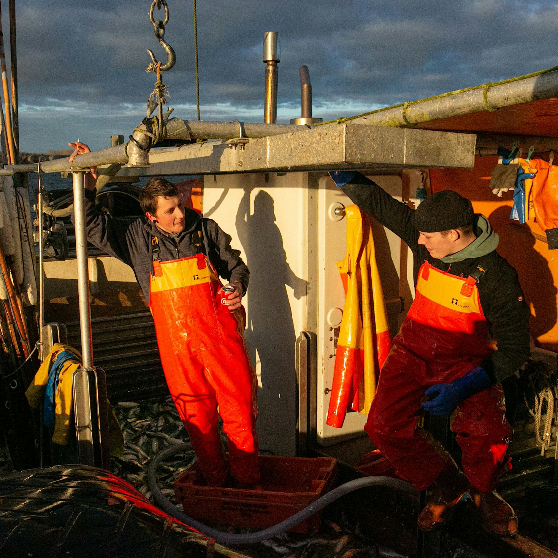 Ostsee: Das Leid von Fisch und Fischern