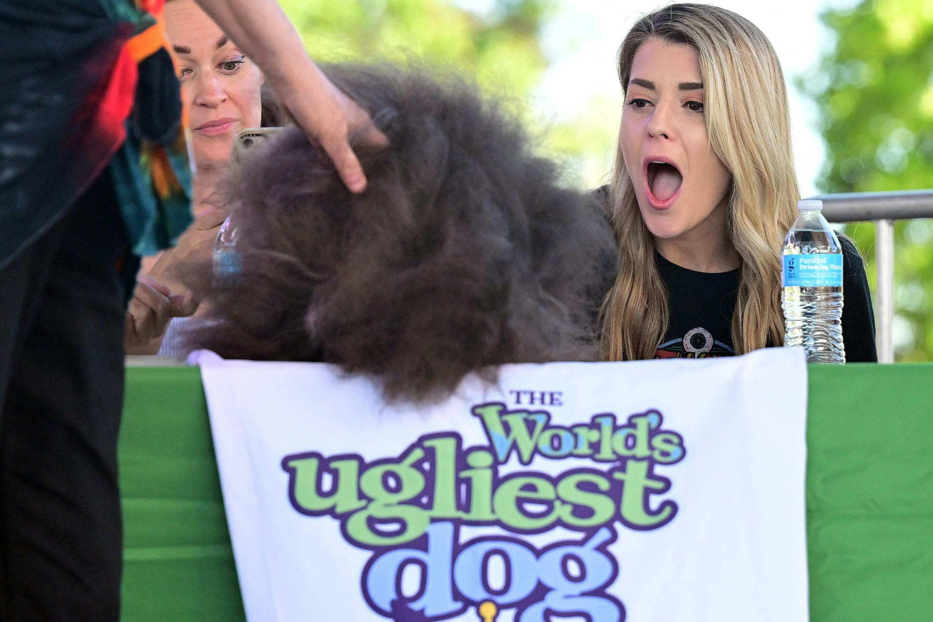 Die Jury des „World's Ugliest Dog Contest“ in der Kleinstadt Petaluma legte Wert auf alles, was als unschön gilt: Glupschaugen, schiefe Zähne, O-Beine, buckelige Rücken.