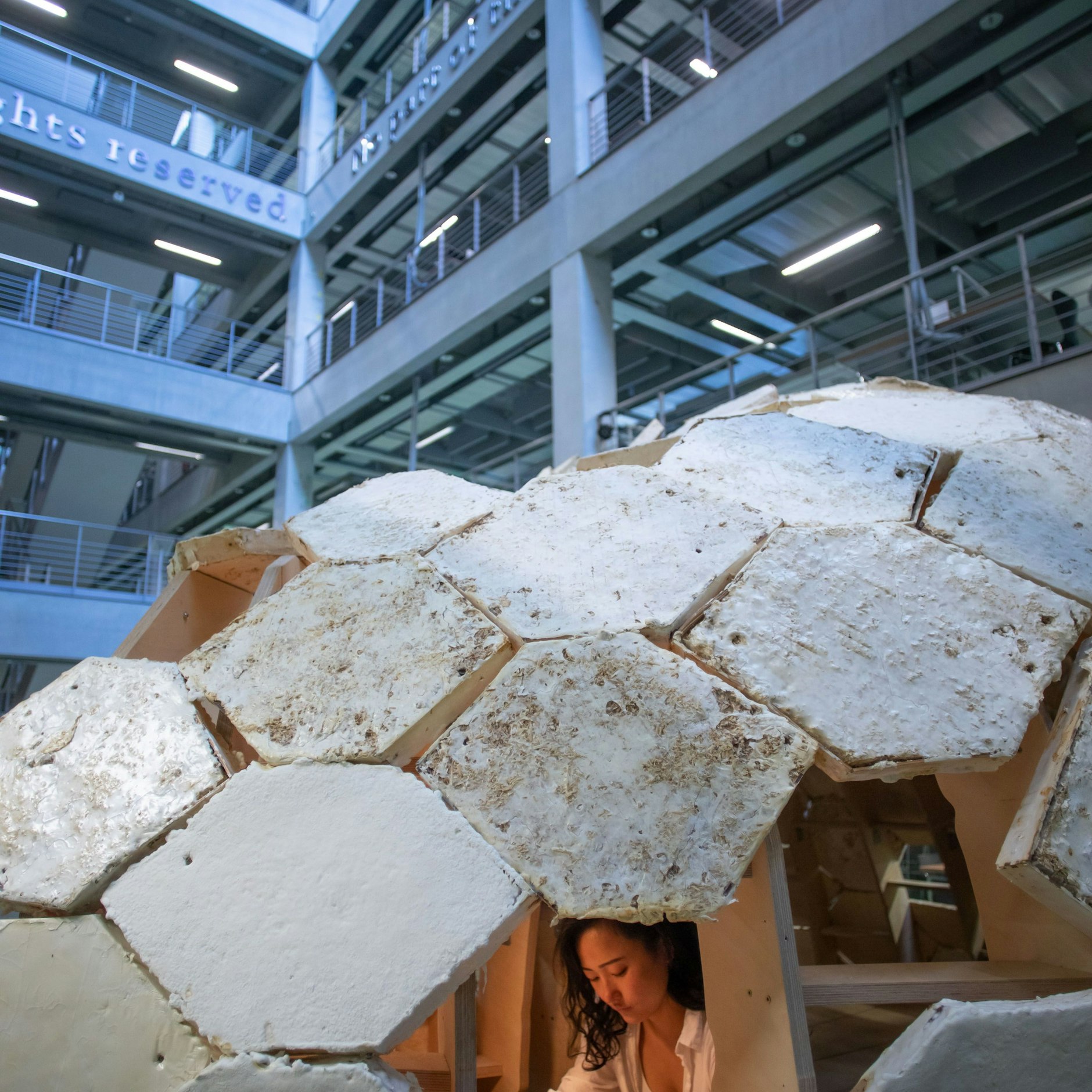 „MY-CO SPACE“ – so heißt das Haus aus Pilzen an der TU Berlin.