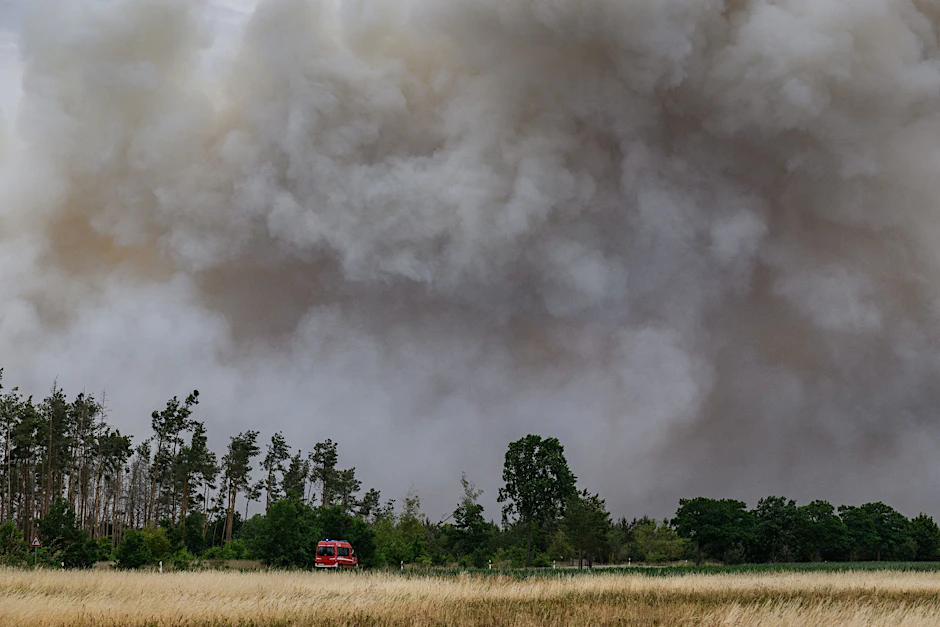 Rauch steigt aus einem Waldbrandgebiet in der Gohrischheide in den Himmel. Foto: Robert Michael/dpa