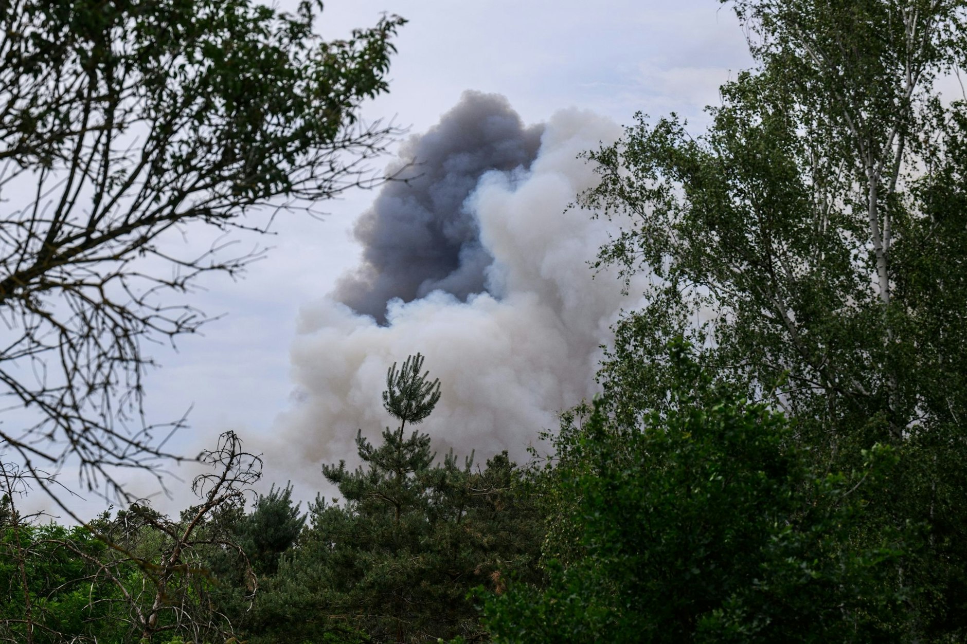 Hunderte Einsatzkräfte hatten am Wochenende gegen den Waldbrand in der Gohrischheide zwischen Brandenburg und Sachsen gekämpft.
