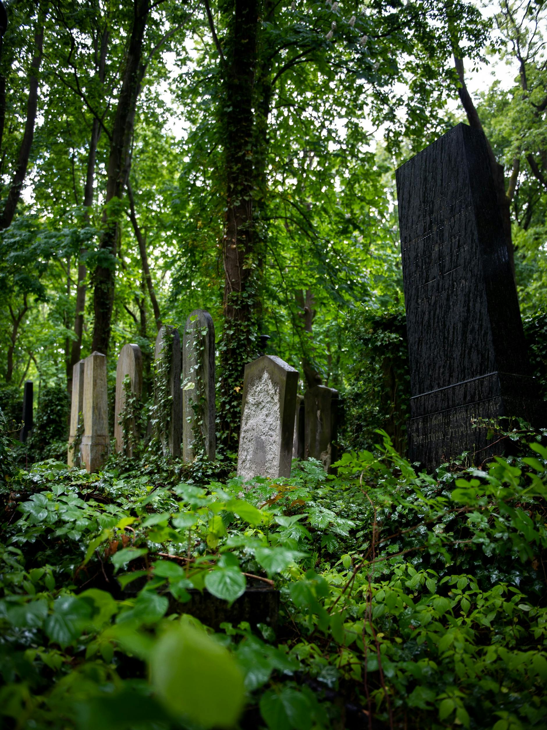 Jüdischer Friedhof in Weißensee
