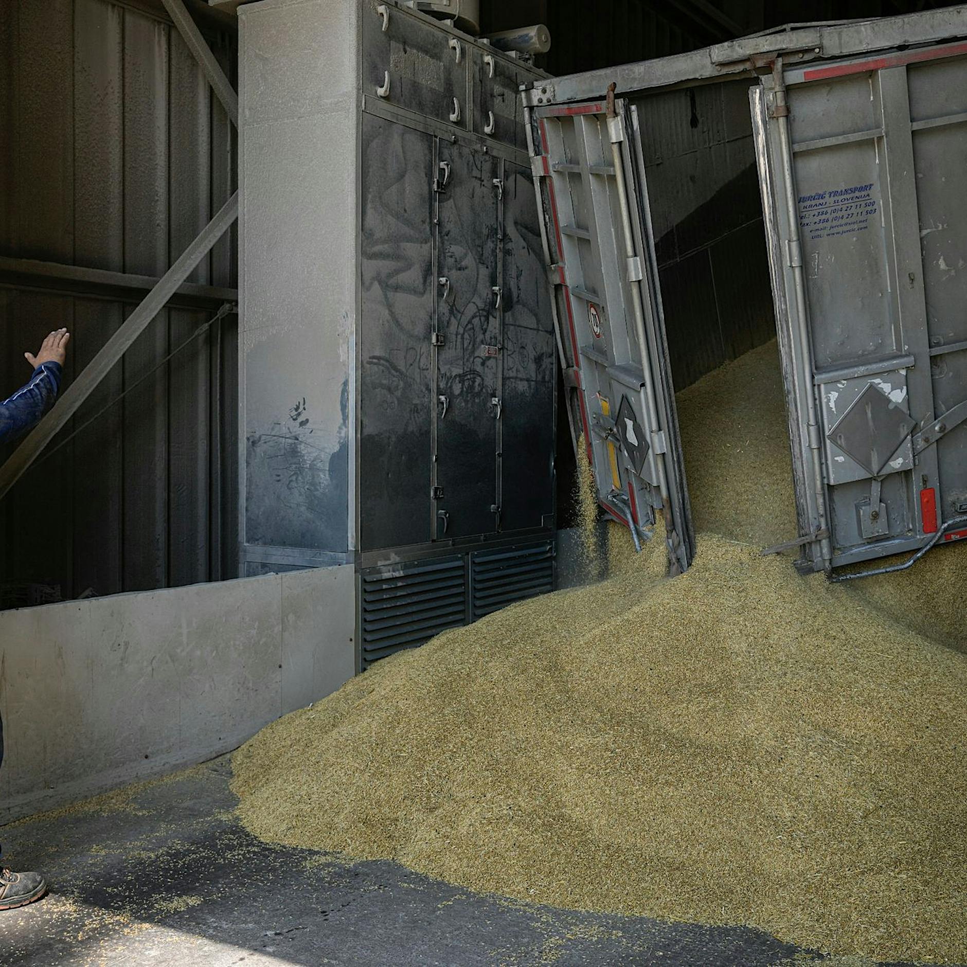Weizenpreis fällt auf tiefsten Stand seit vier Monaten