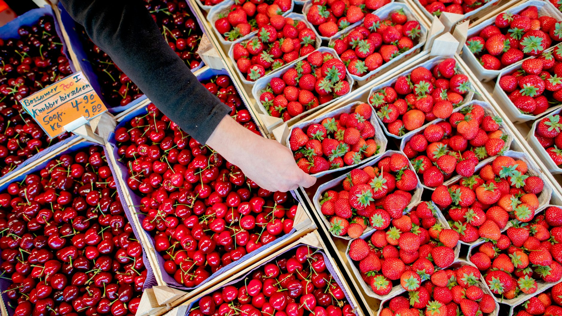 Erdbeeren halten sich am besten im Kühlschrank frisch.