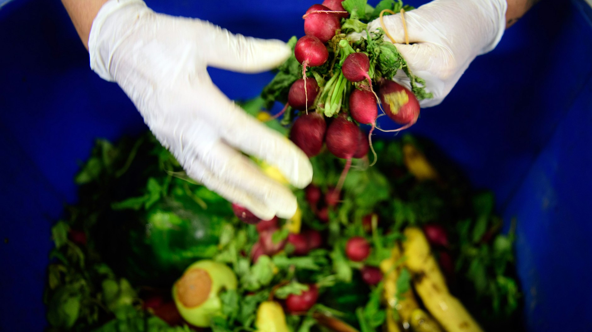 Wer das Grünzeug entfernt, kann Radieschen problemlos im Kühlschrank aufbewahren.