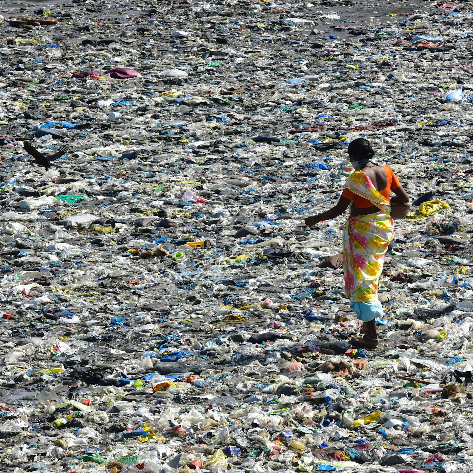 Die Ozeane werden zur Toilette des Planeten! So schlecht geht es unseren Weltmeeren