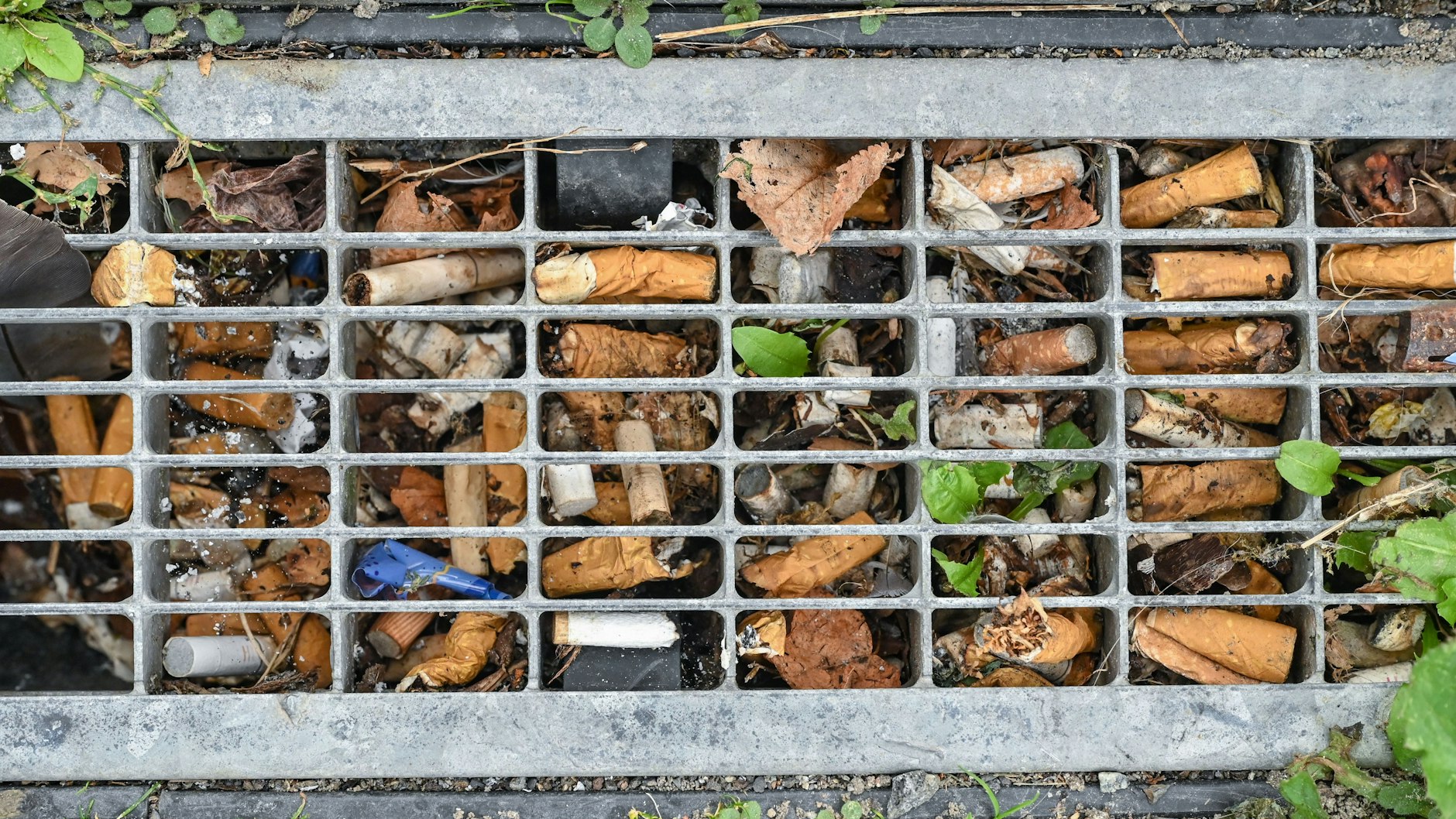 Zigarettenkippen verstopfen eine Gewehgentwässerung.