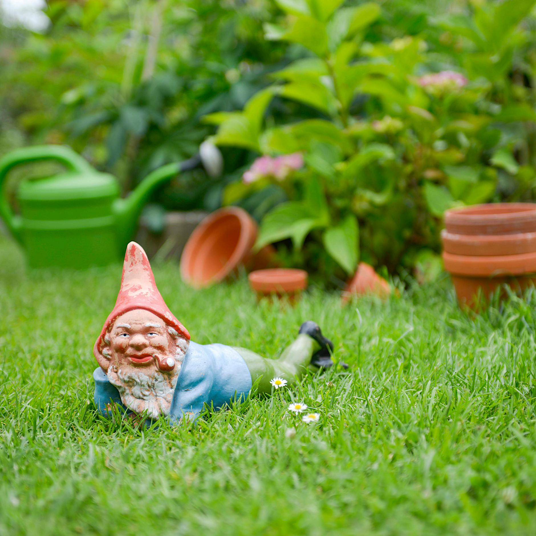 Studie: Immer mehr Deutsche verlassen die Stadt und ziehen aufs Land