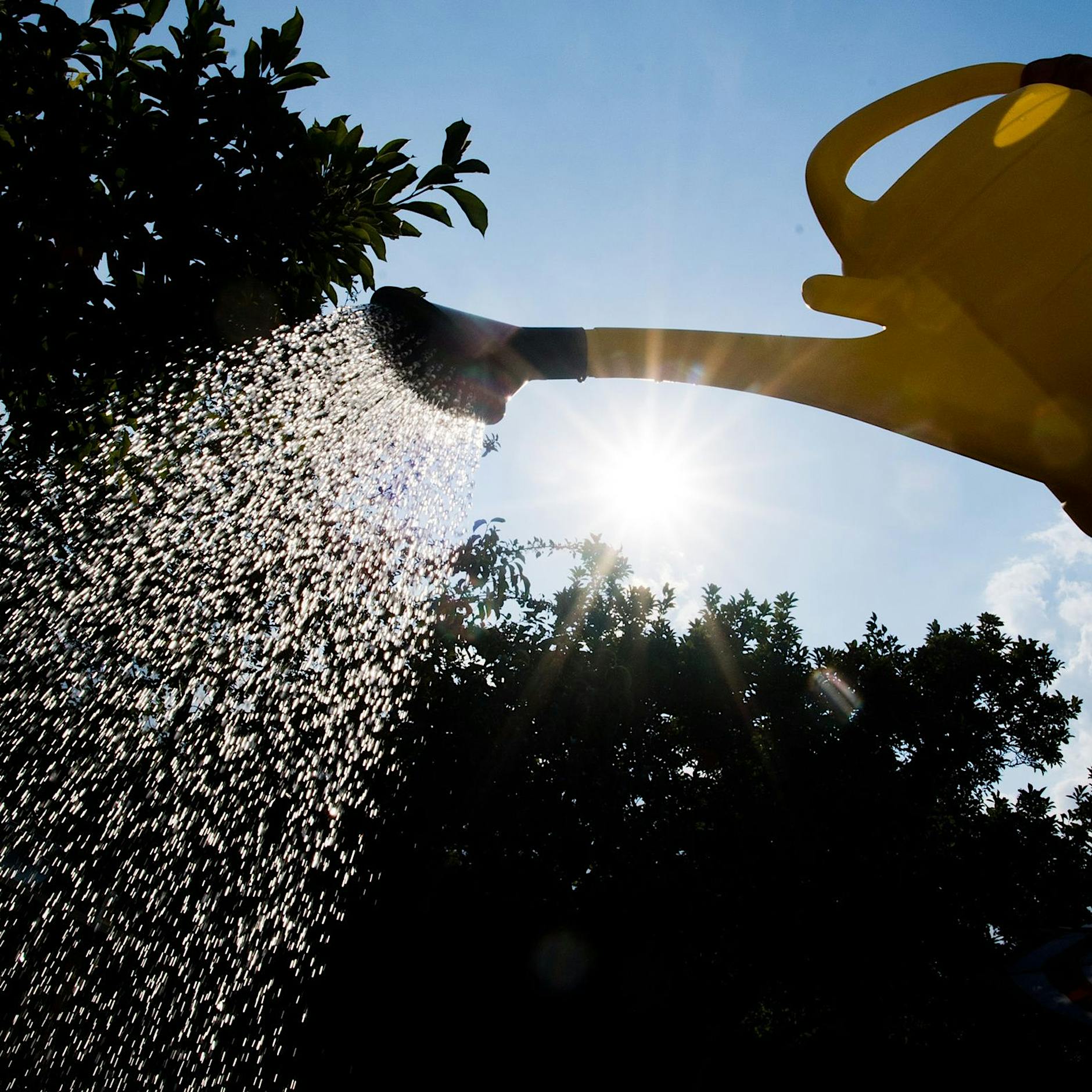 Berliner Senat ruft zum Wassersparen auf – Verbote „denkbar“