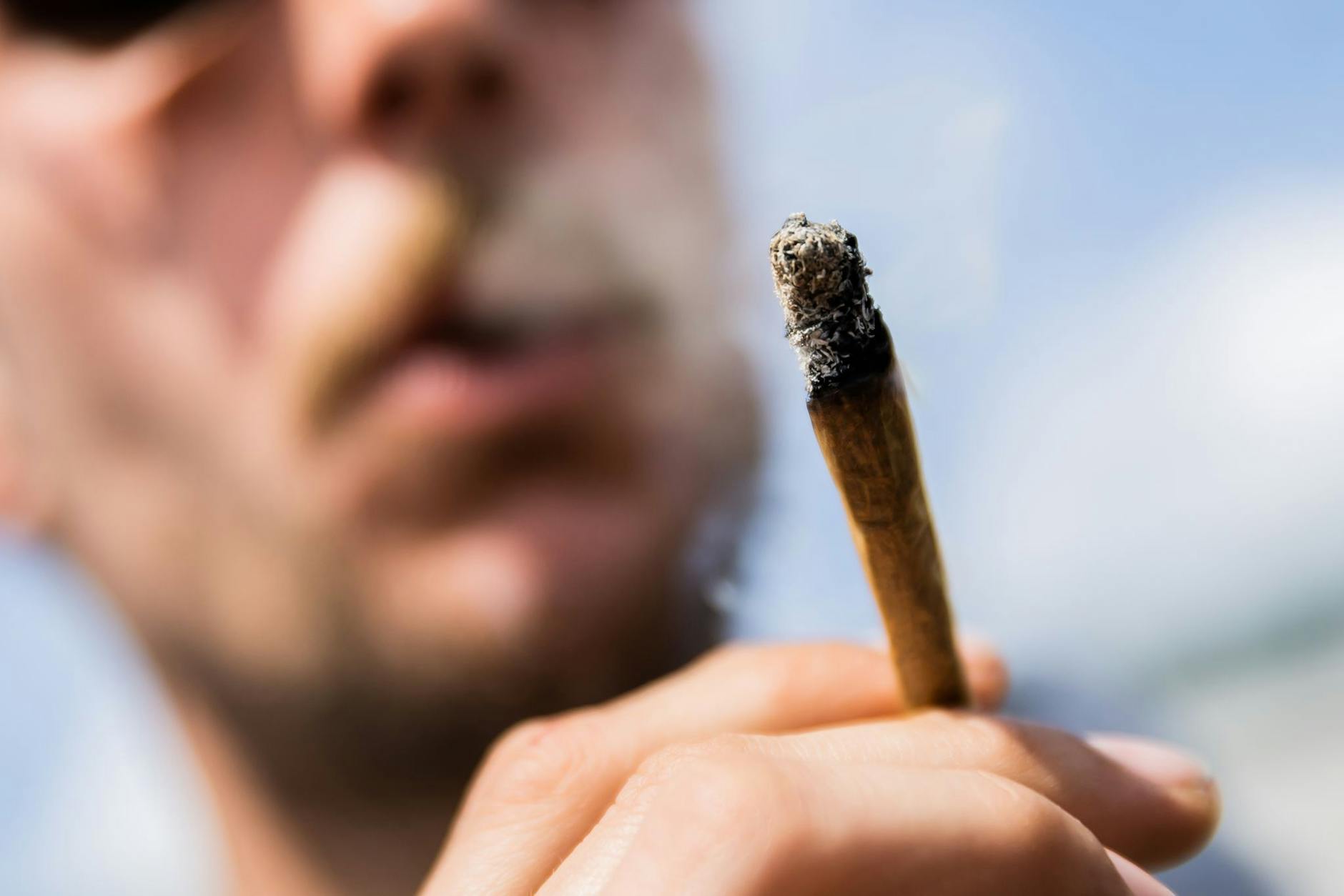 ARCHIV - Immer stärkeres Haschisch und Marihuana auf dem Markt führt vermehrt zu Sucht in Westeuropa.