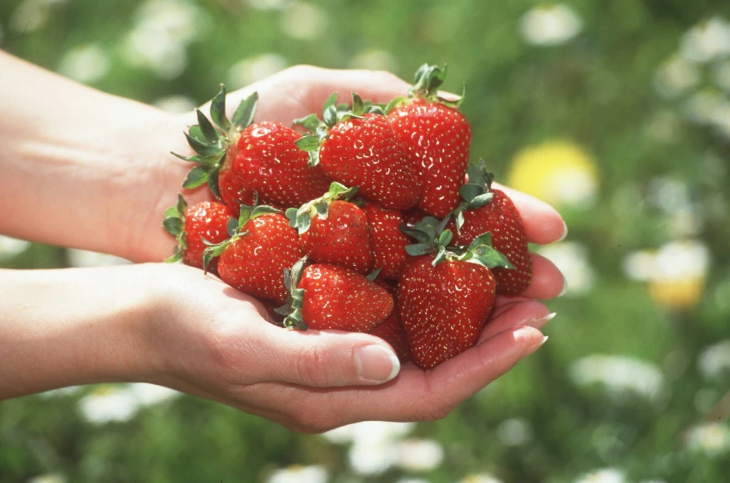 Warum Sie trotz Inflation nicht an den Erdbeeren sparen sollten