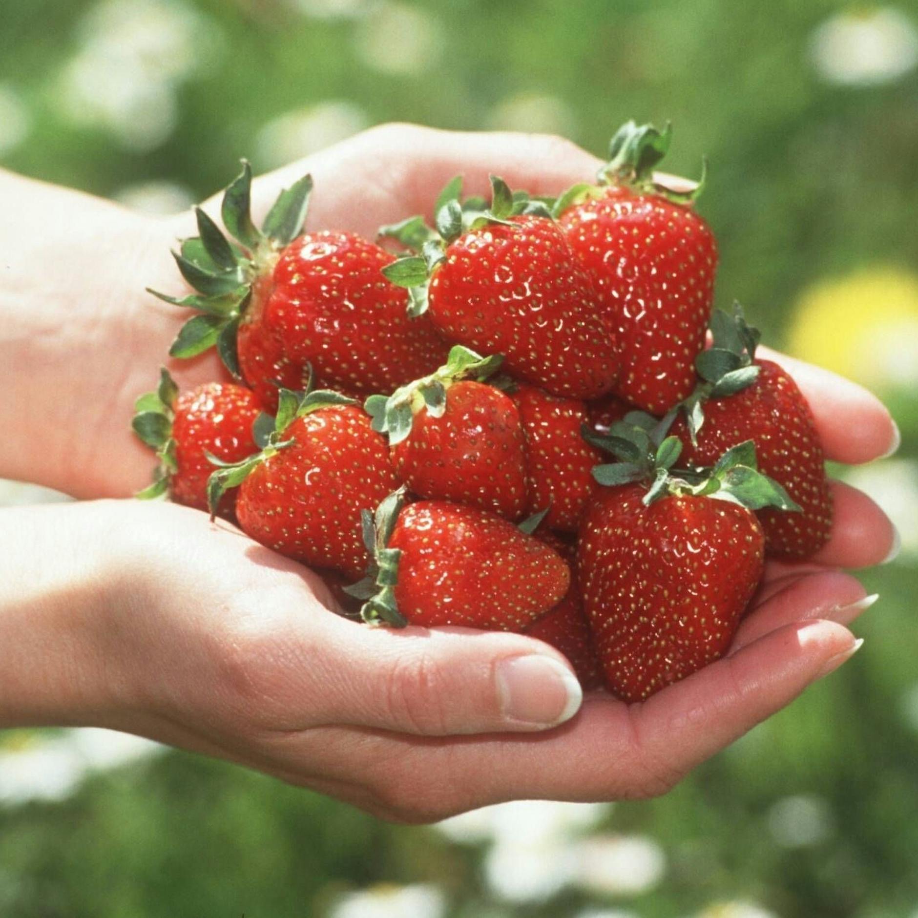 Warum Sie trotz Inflation nicht an den Erdbeeren sparen sollten