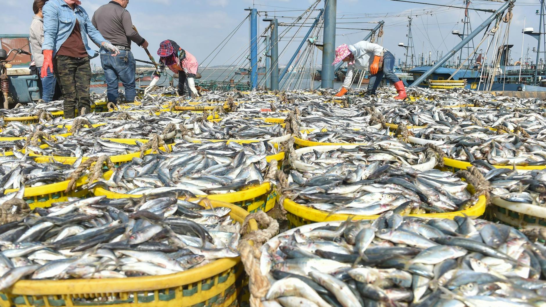 Fischer im Fischereihafen von Xiangzhi in der südostchinesischen Provinz Fujian.