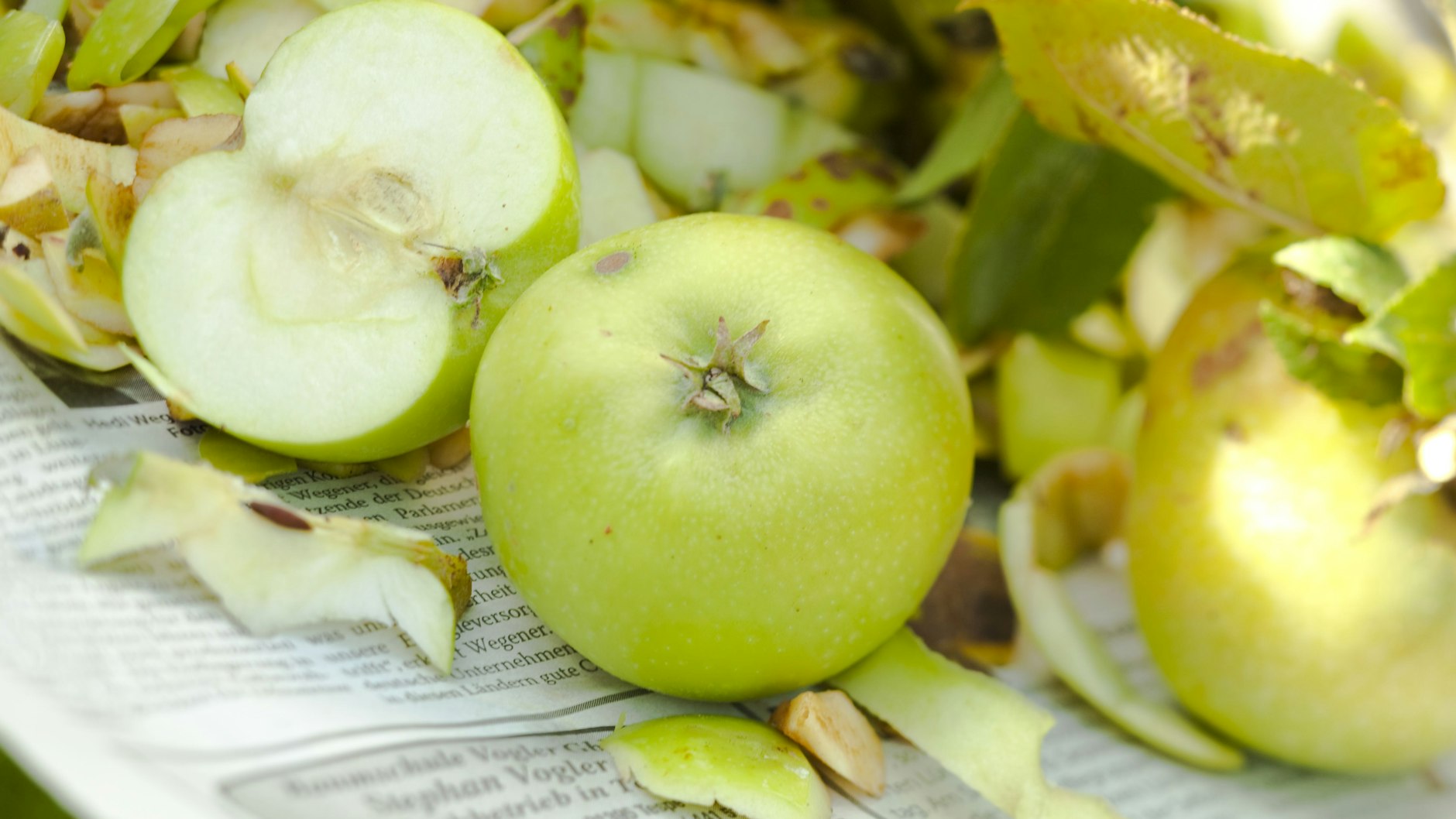 Vor allem feuchte Küchenabfälle, wie etwa die von Obst, in Zeitungspapier einwickeln, bevor sie in den Biomüll kommen.