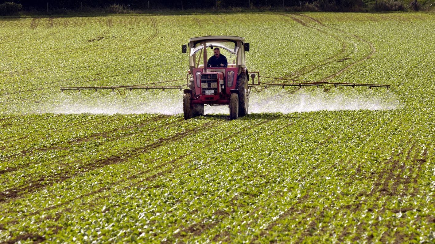 Pestizide werden mit einem Traktor auf ein Feld gespritzt. (Archivbild)