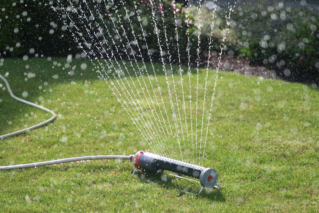 Wasserverbrauch senken, Garten retten: Was Sie JETZT tun können, damit Ihr Garten die extreme Trockenheit übersteht