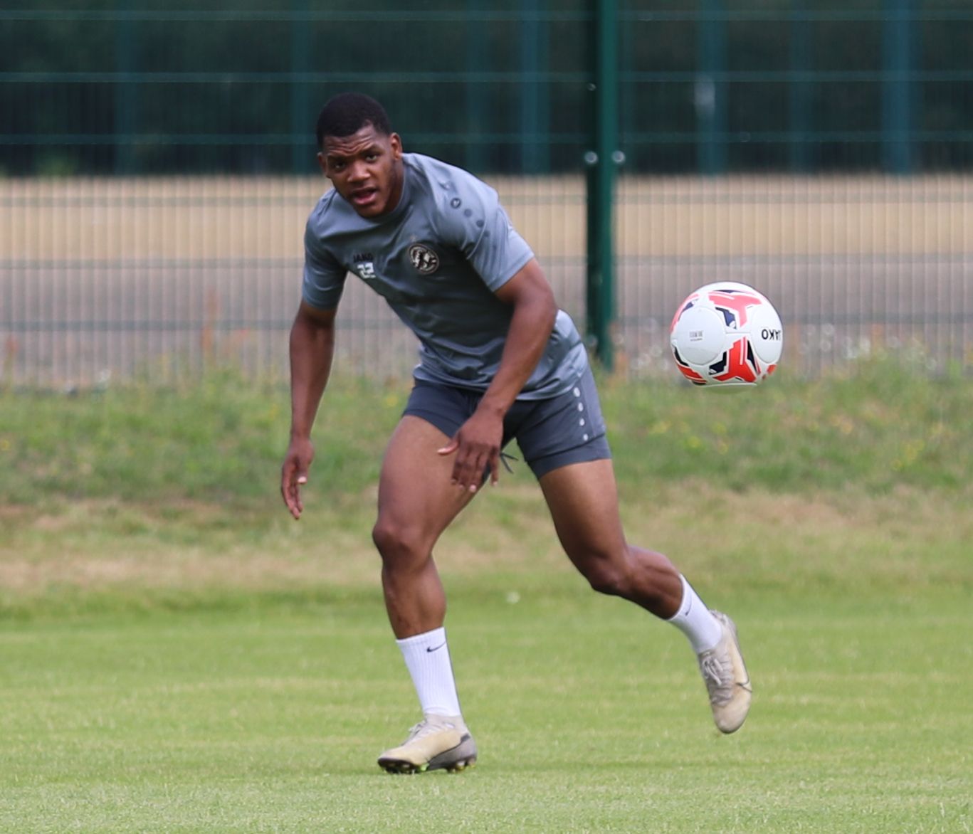 Einfach tierisch! Ein Löwe und ein Bär sollen jetzt den BFC Dynamo aufmischen