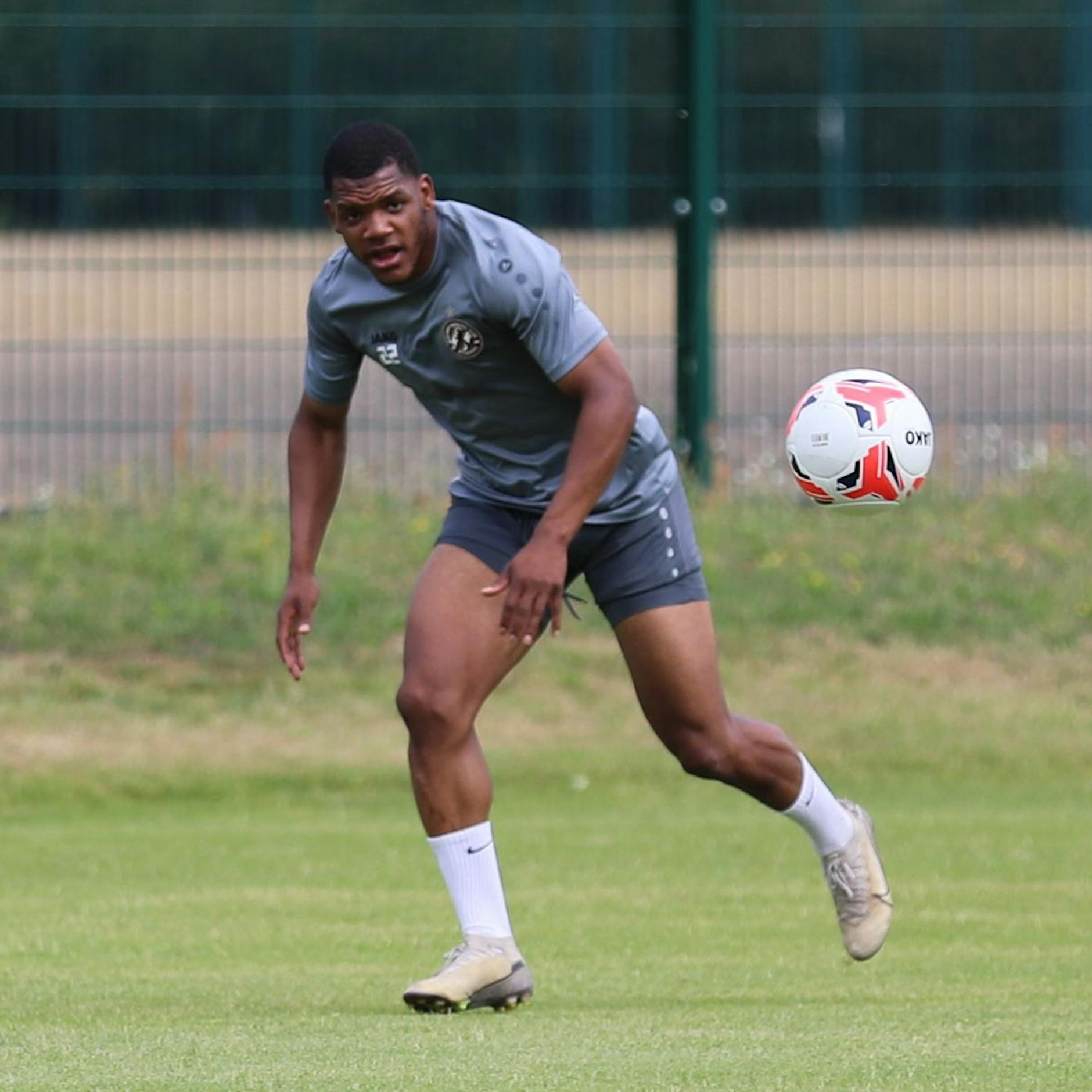 Einfach tierisch! Ein Löwe und ein Bär sollen jetzt den BFC Dynamo aufmischen
