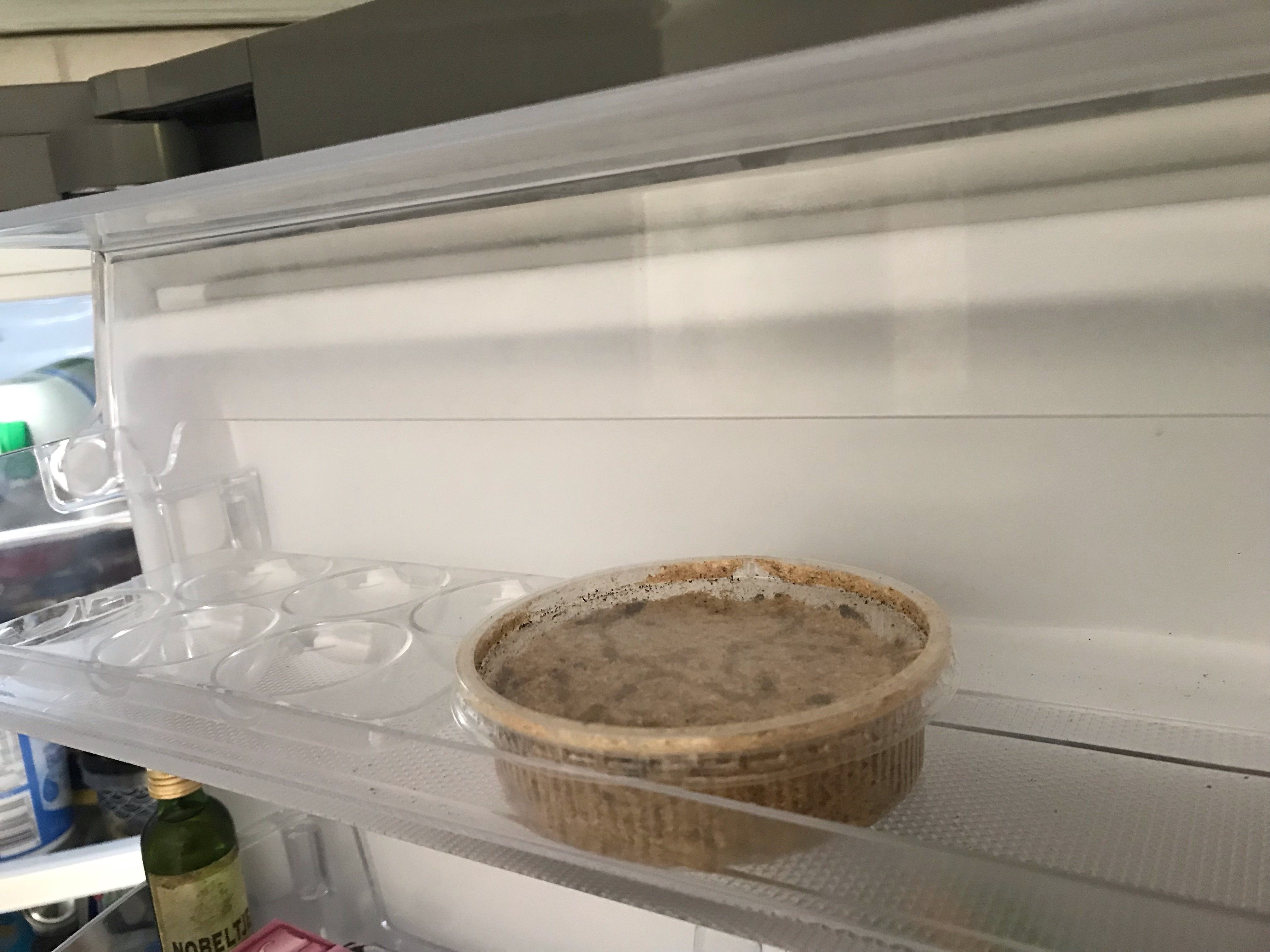 Maden im Biomüll: Warum DIESE Leute die Ekel-Larven sogar in ihrem Kühlschrank haben!