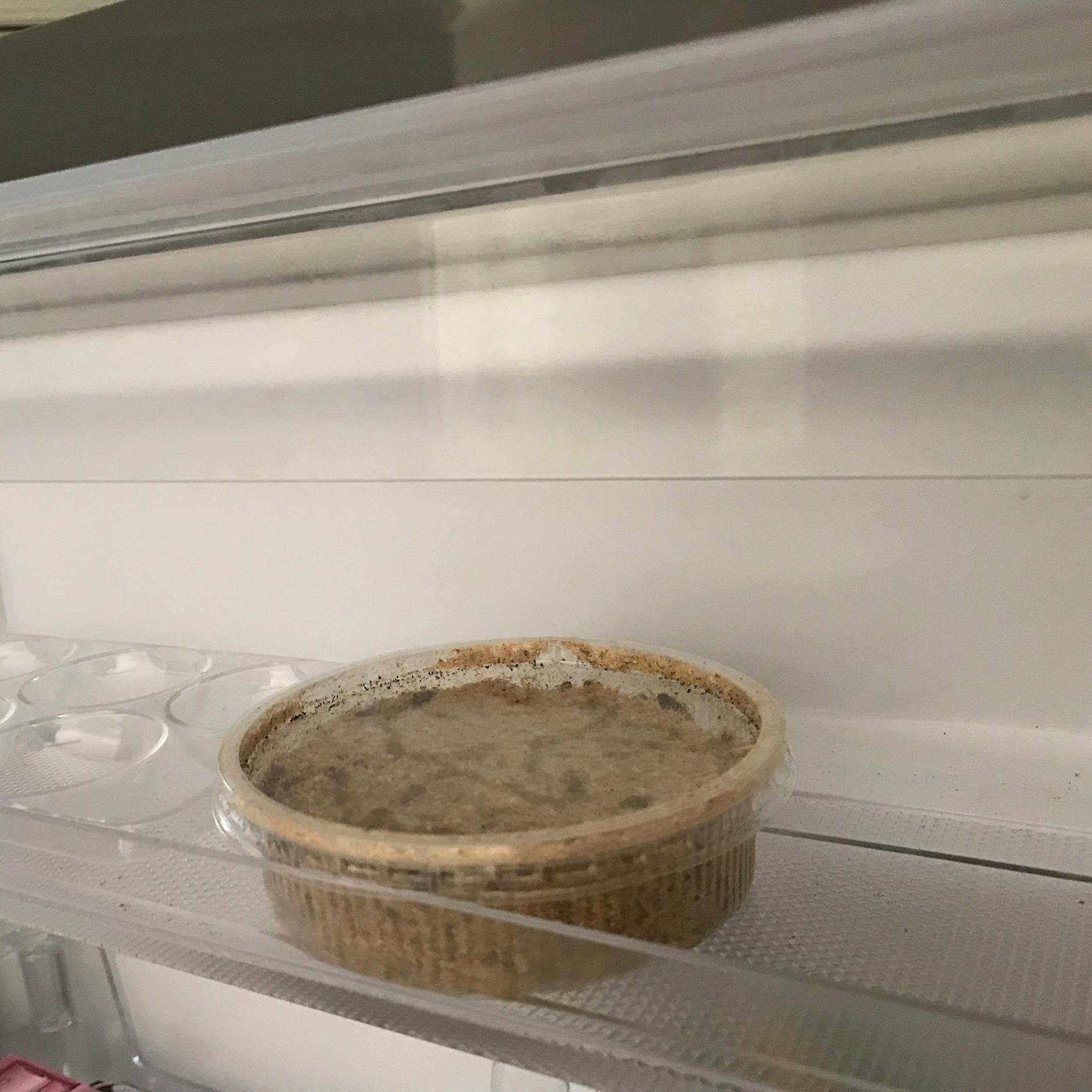 Maden im Biomüll: Warum DIESE Leute die Ekel-Larven sogar in ihrem Kühlschrank haben!