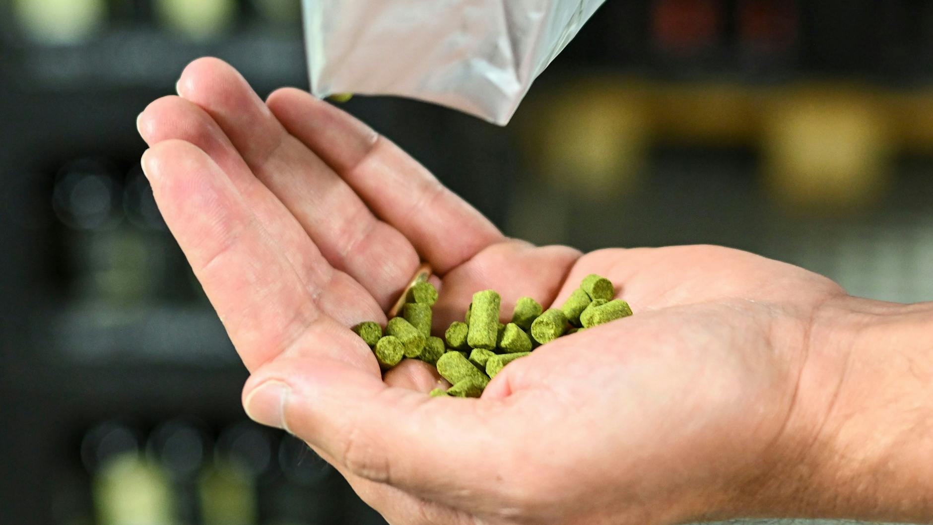 Der Hopfenpreis hat auch eine Tendenz nach oben, weil die Ernten in den vergangenen Jahren nicht berauschend waren.