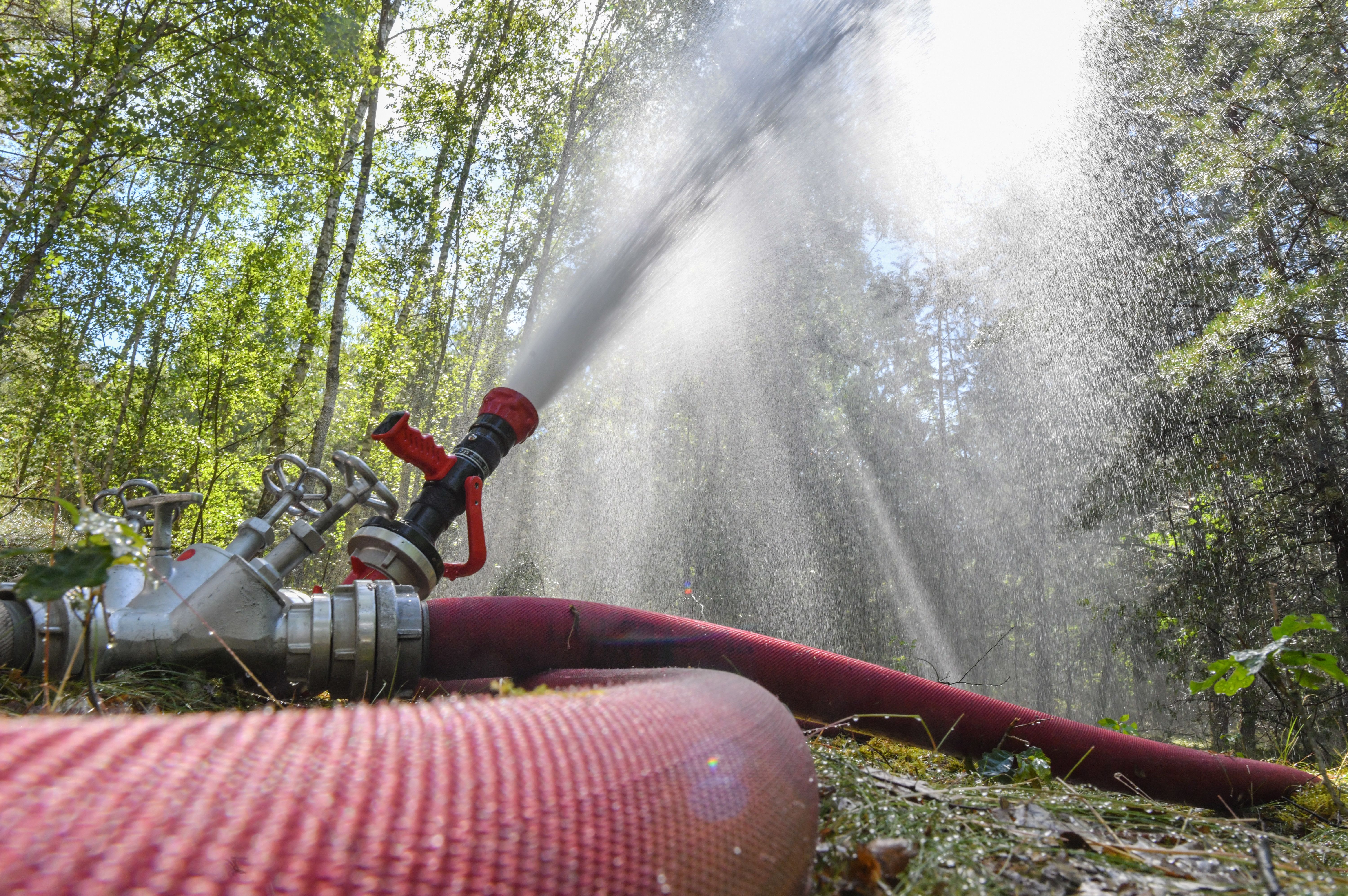 Image - Waldbrand in der Lieberoser Heide: Alte Munition gefährdet Feuerwehrleute