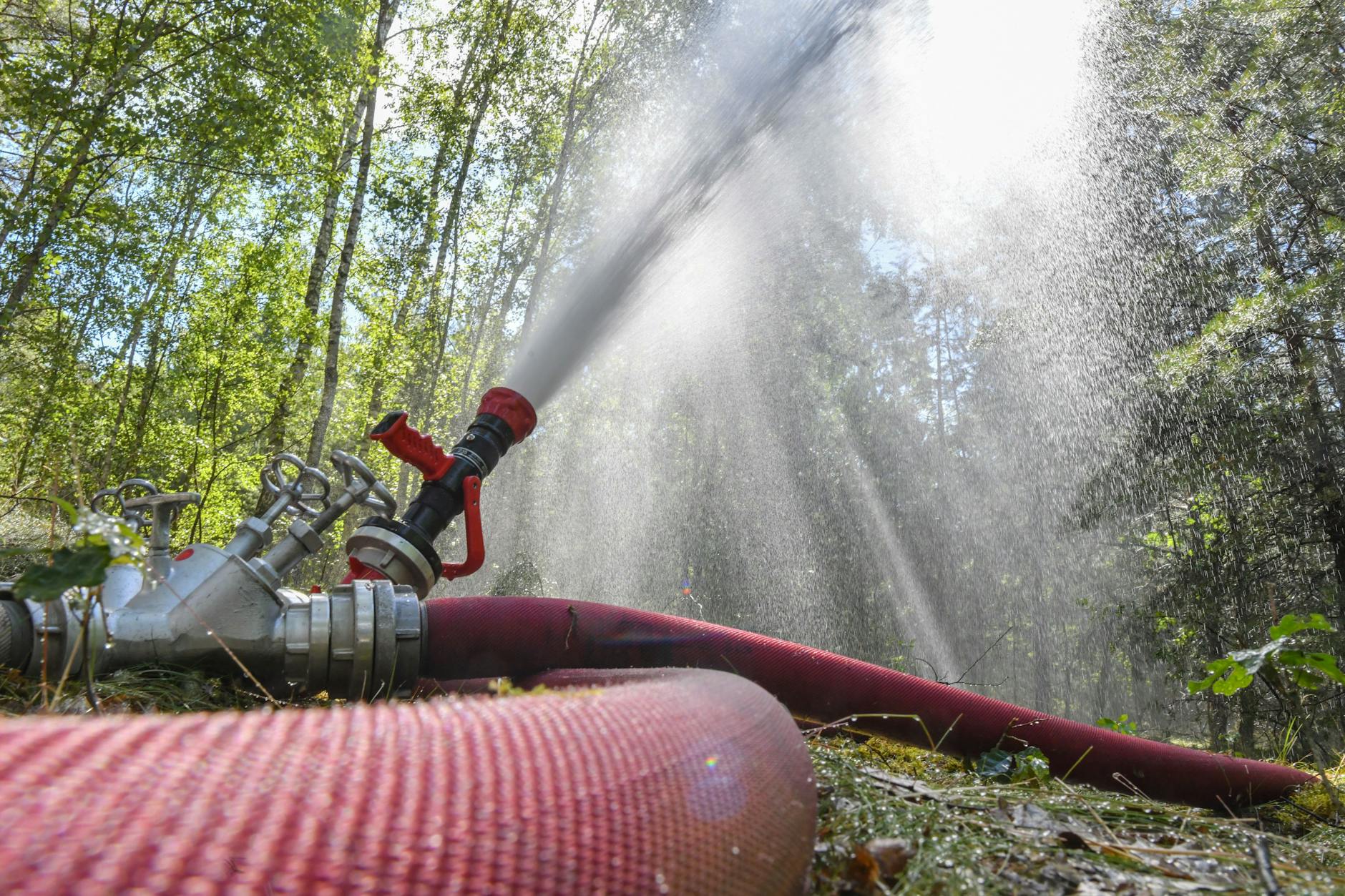 Löschwasser wird in die Baumwipfel eines Waldes in der Lieberoser Heide gespritzt.