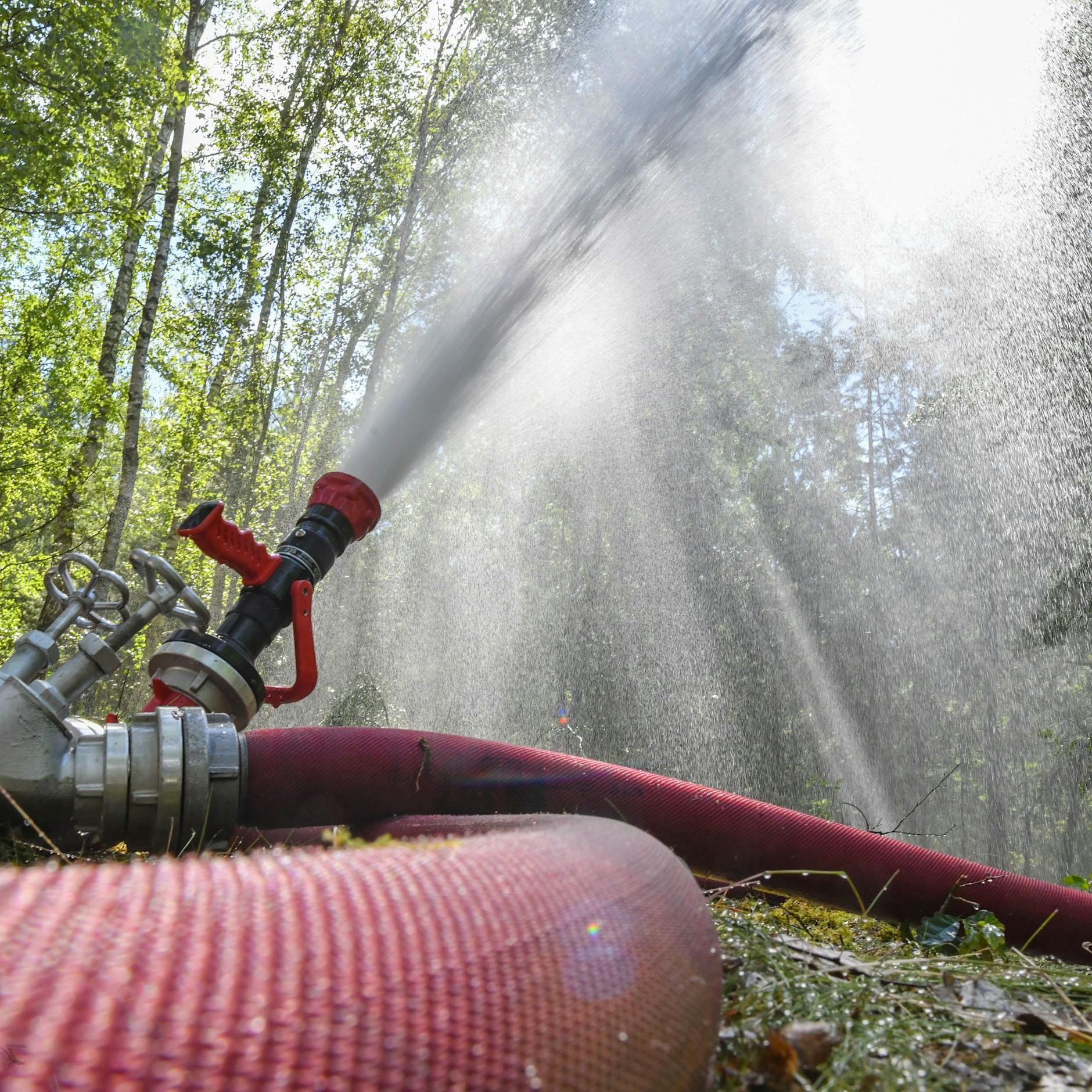 Waldbrand in der Lieberoser Heide: Alte Munition gefährdet Feuerwehrleute