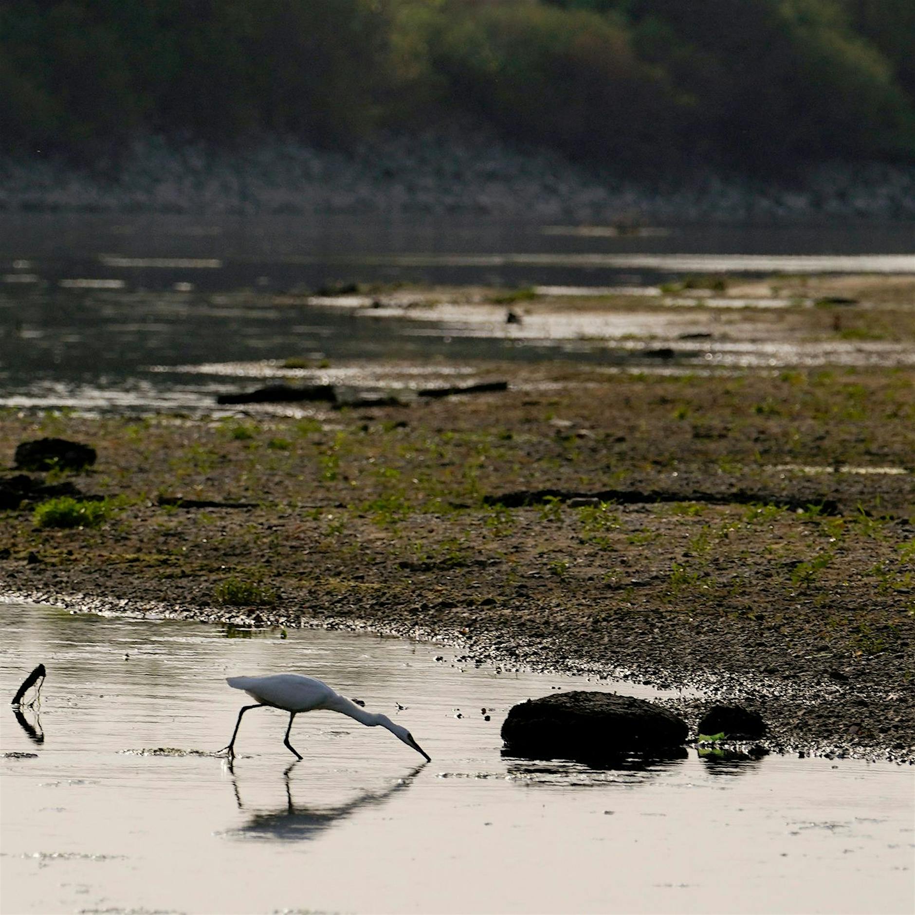 Beginn der Feriensaison: Italien ächzt unter Wetterextremen