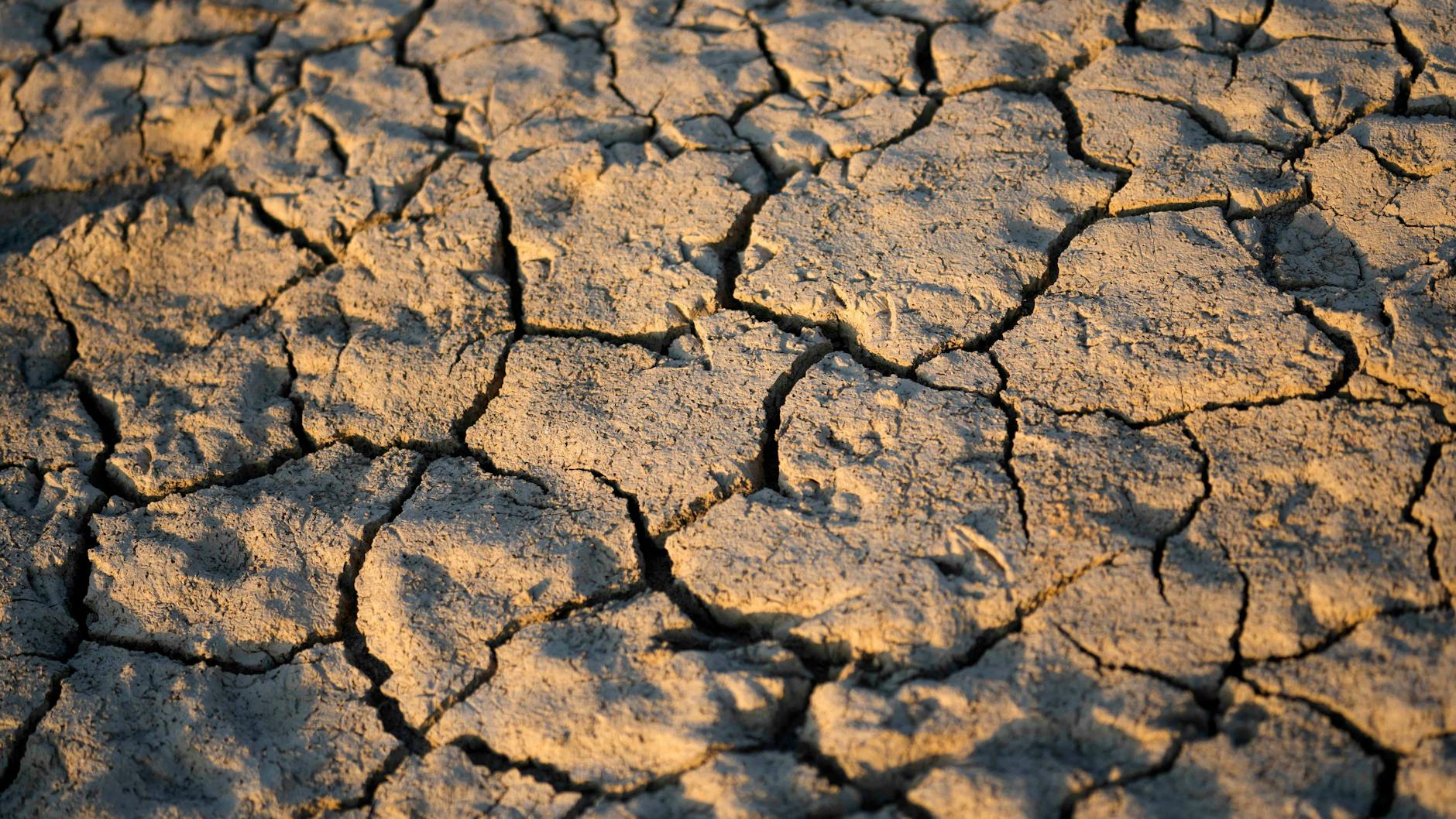 Risse im sind im Erdreich des Flussbettes zu sehen. Das Austrocknen des Flusses Po gefährdet die Trinkwasserversorgung in den dicht besiedelten und hoch industrialisierten Gebieten.