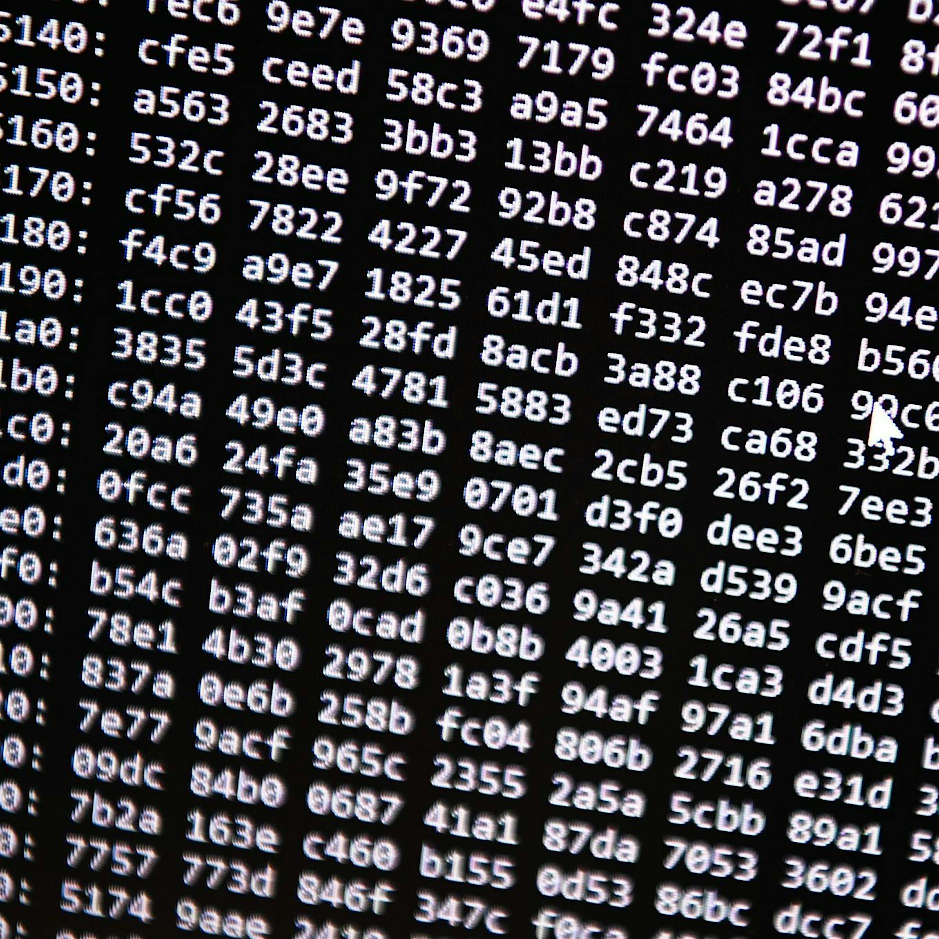 BSI: Bedrohung durch Cyberangriffe in Deutschland steigt