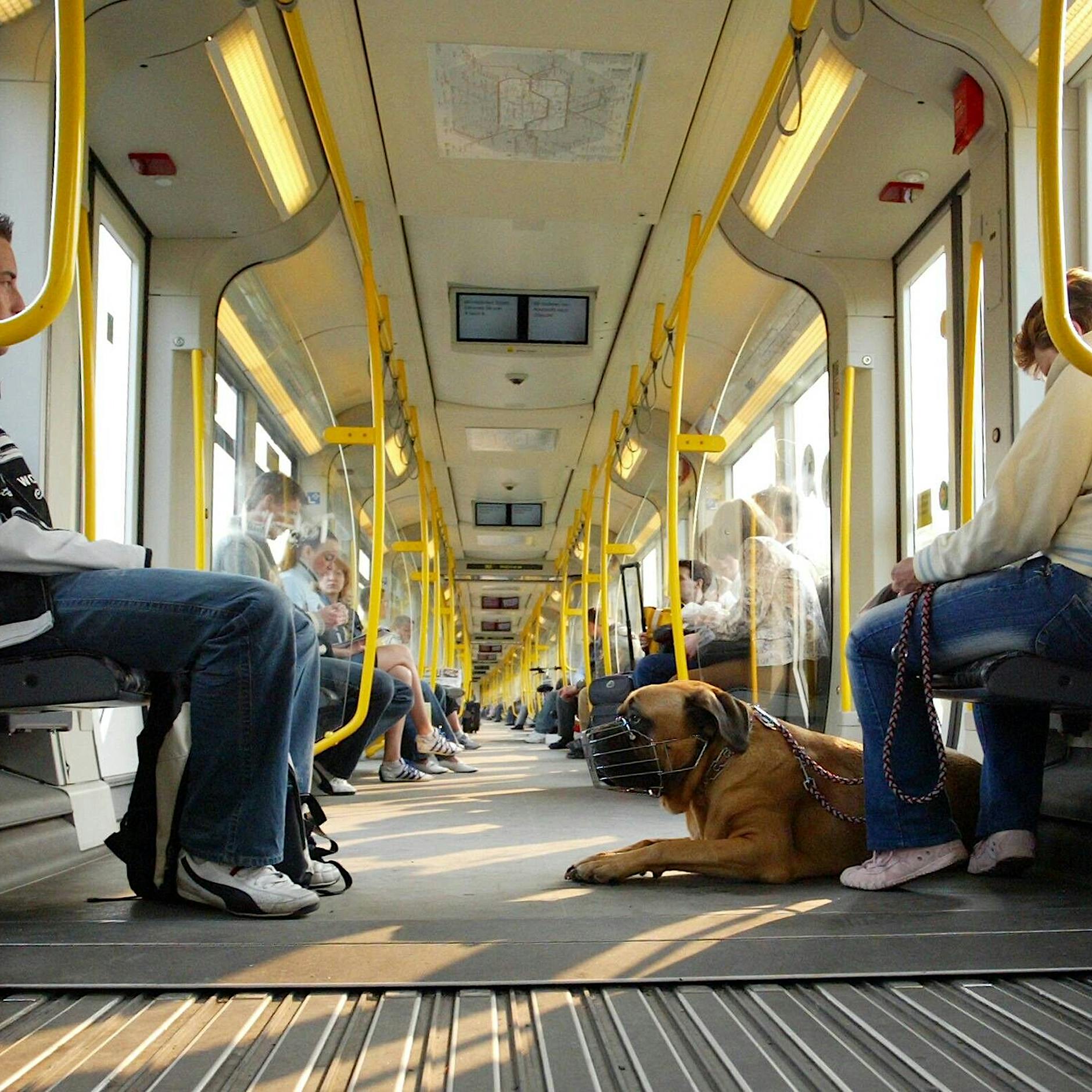 Braucht Berlin Frauenabteile bei der BVG? Tausende unterschreiben Petition