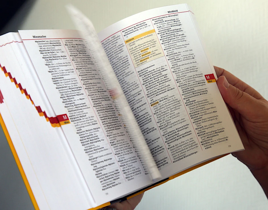 Nicht ohne meinen Duden? Um internationalen&nbsp;Fachkräften den&nbsp;Einstieg zu erleichtern, plädiert die FDP dafür, Englisch als zweite Verwaltungssprache einzuführen.