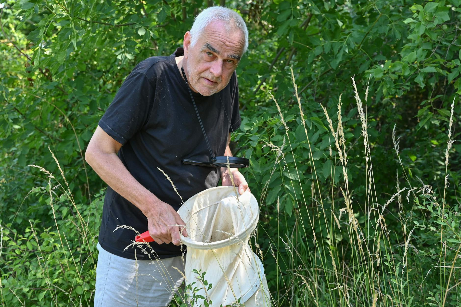 Peter Herbert ist Käfer-Jäger. Jetzt ist er im Oderbruch wieder auf der Pirsch.