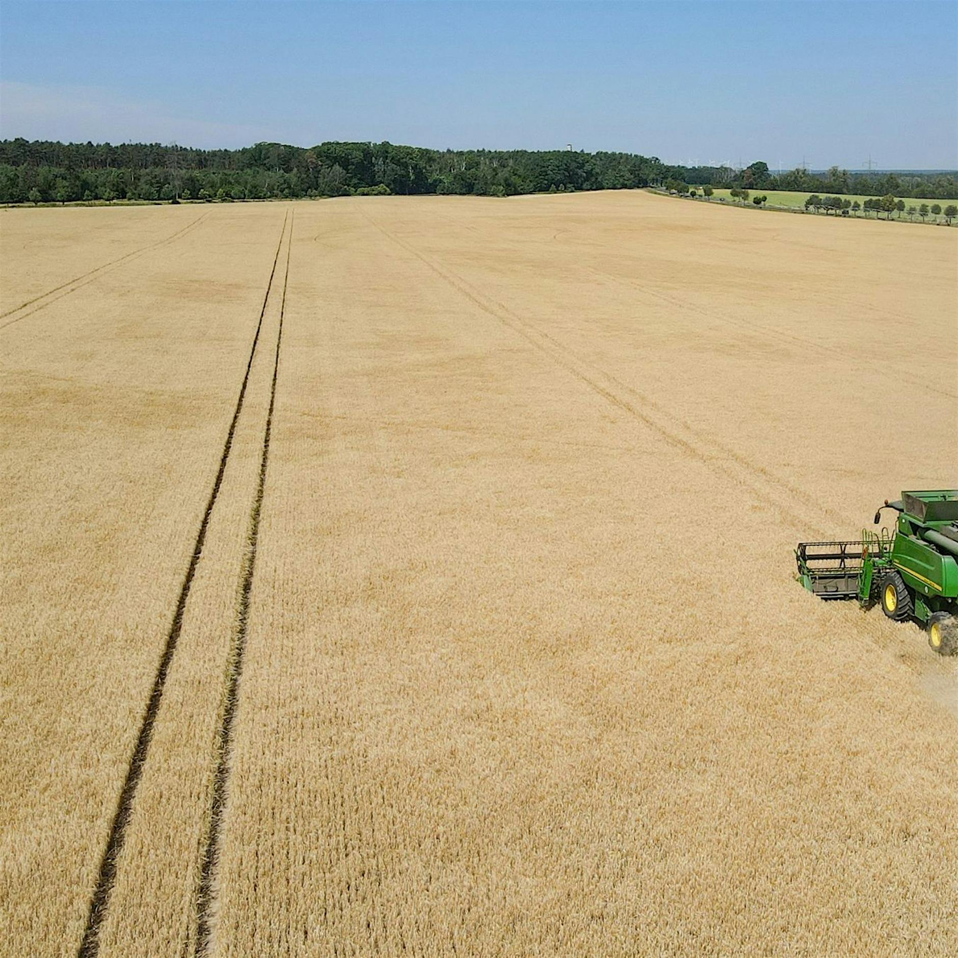 EU-Rechnungshof: Mehr Kontrolle bei Agrarsubventionen