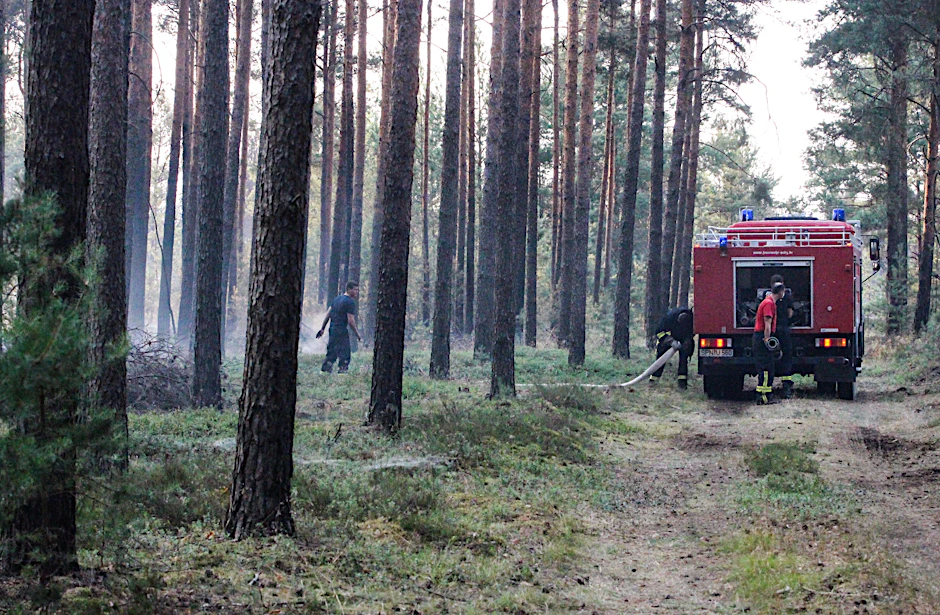 Lieberose: Feuerwehrleute löschen Glutnester beim Waldbrand auf dem ehemaligen Truppenübungsplatz in Südostbrandenburg.