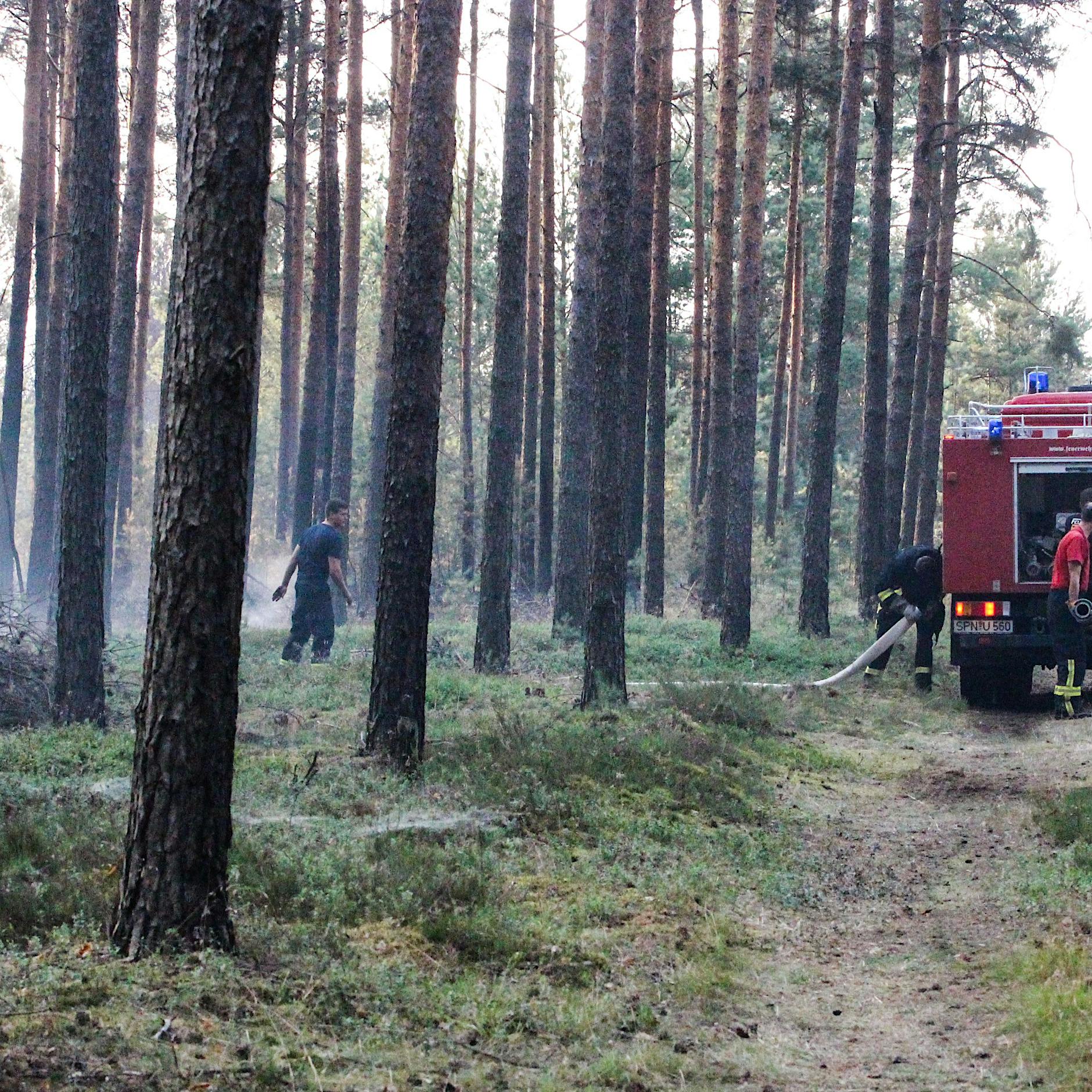 Ein ausgetrocknetes Moor brennt in Brandenburg – das kann sogar Monate andauern
