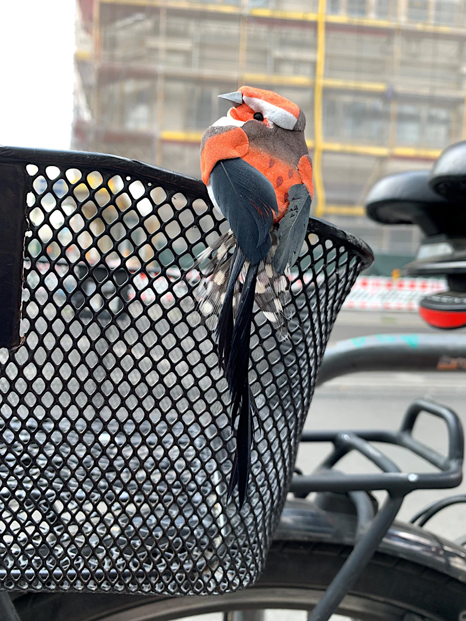 Ein kleiner Vogel an einem Fahrrad am Bahnhof Berlin Alexanderplatz