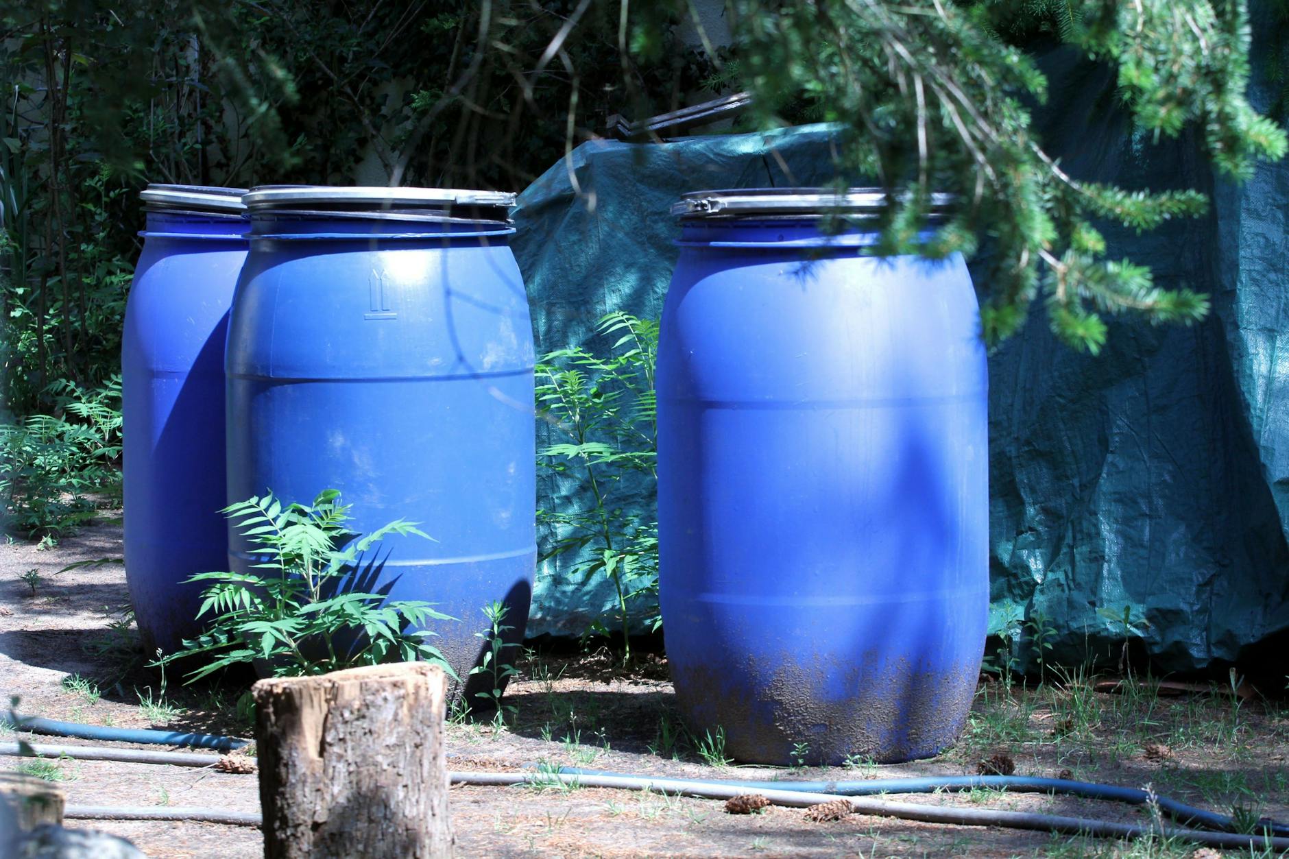 In diesen Fässern fand die Polizei Leichenteile.