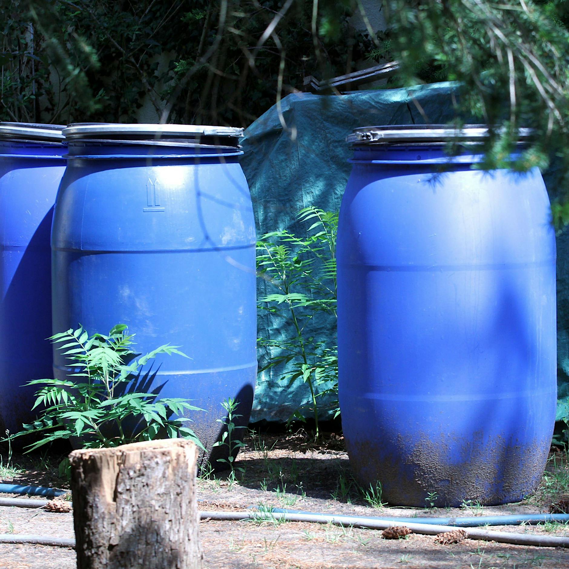 28-Jähriger brachte Eltern um: „Ich wollte endlich meine Ruhe haben“