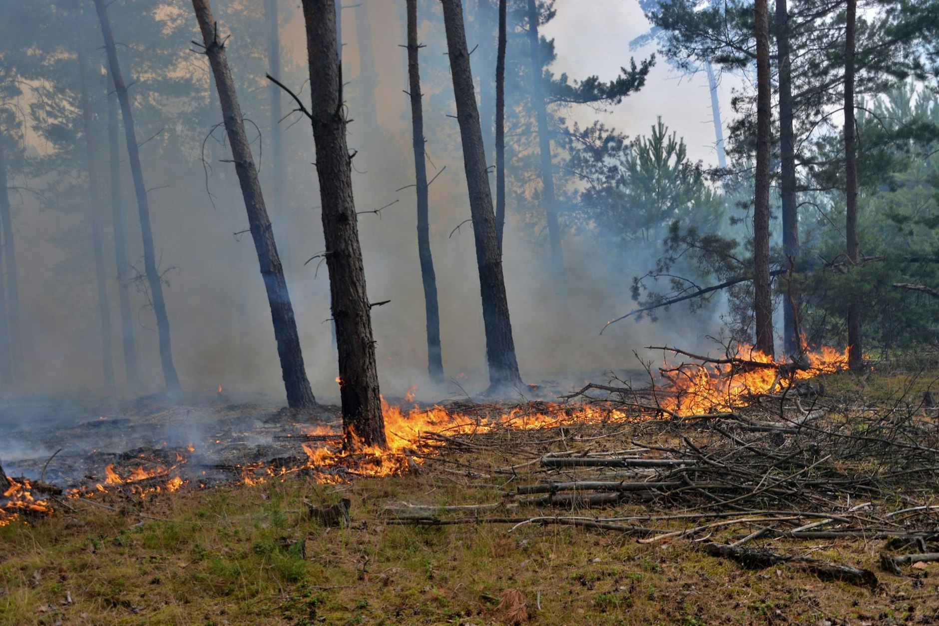 Flammen lodern beim Waldbrand im ehemaligen Truppenübungsplatz.