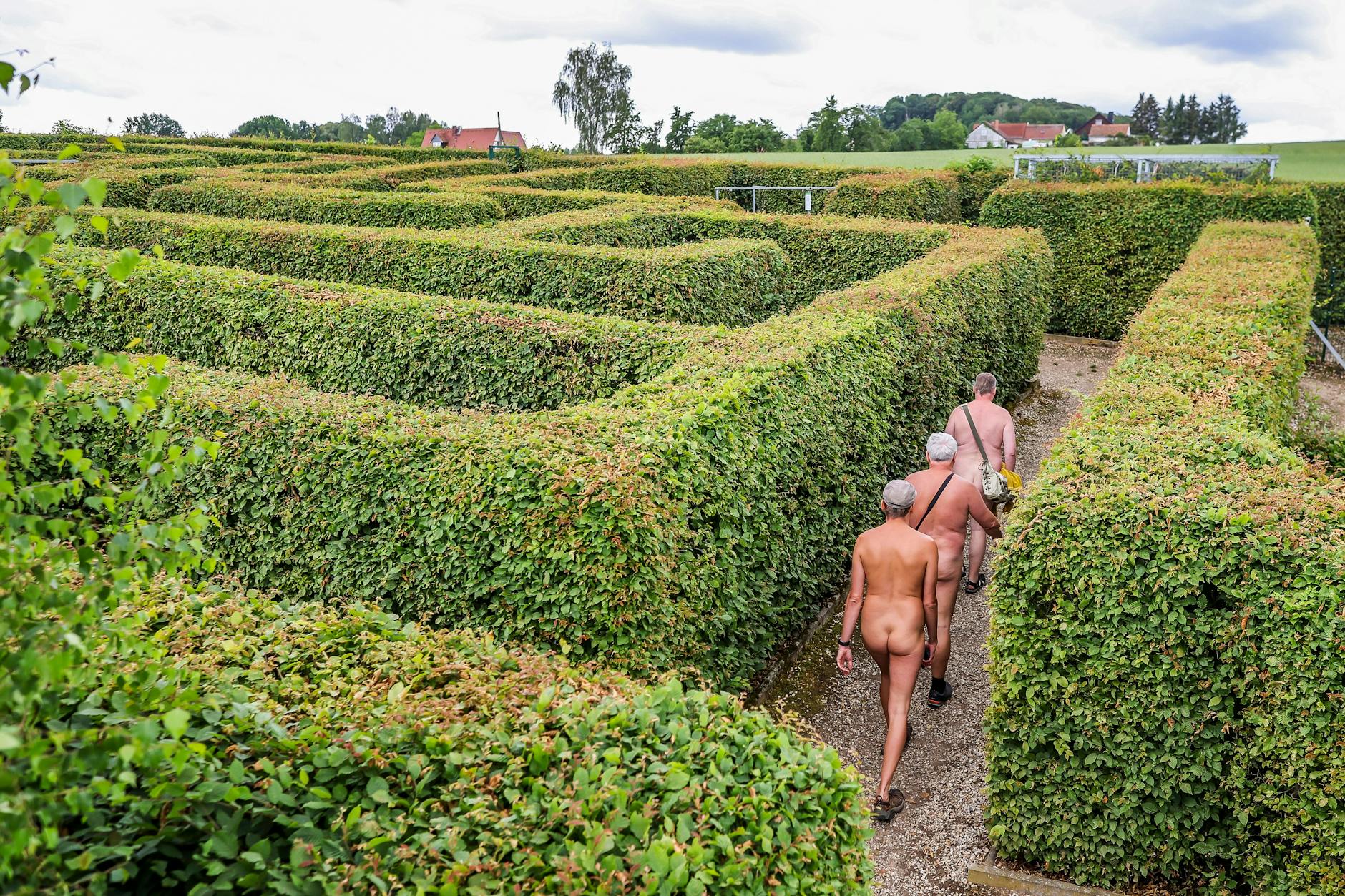 Drei Mitglieder der sächsischen Nacktwanderfreunde suchen ihren Weg im Irrgarten der Sinne.