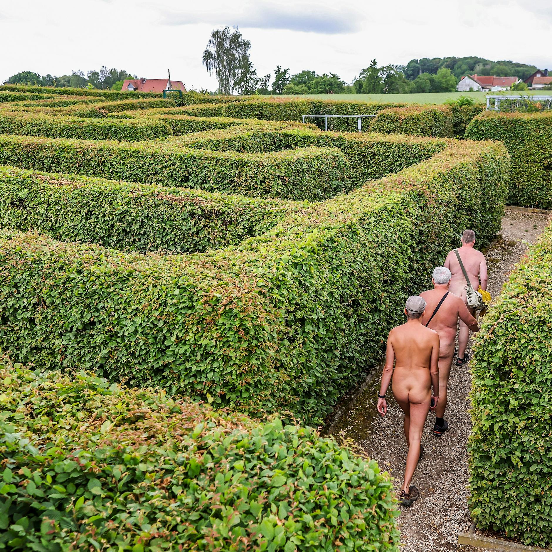Die Sachsen machen Sachen: FKK-Fans verlaufen sich im Irrgarten der Sinne