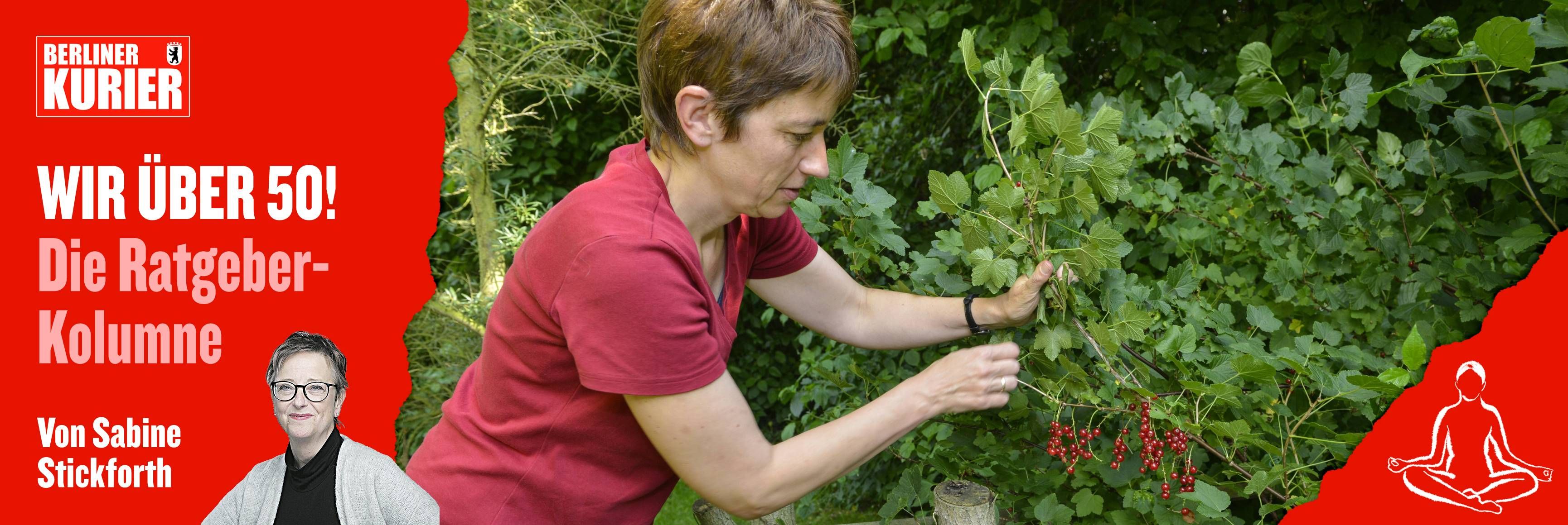 Mit Kompott und Marmeladen: So fangen Sie den Sommer in der Küche ein