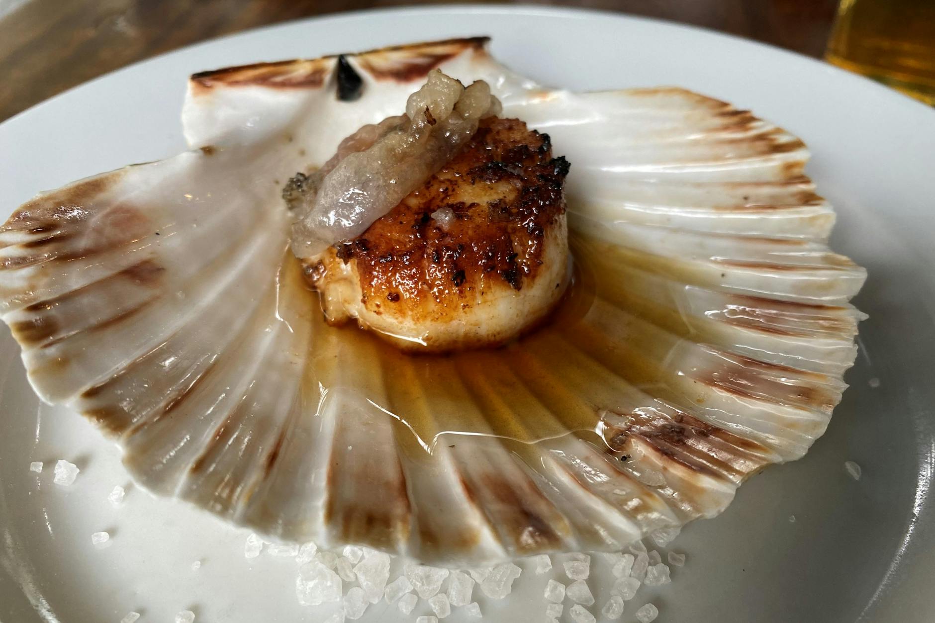 Erste Vorspeise: Gratinierte Jakobsmuschel mit Lardo. Gereiftes Schwein triff auf die Frische der Irischen See. Unbedingt bestellen, sagt unser Koch Felix Hanika.