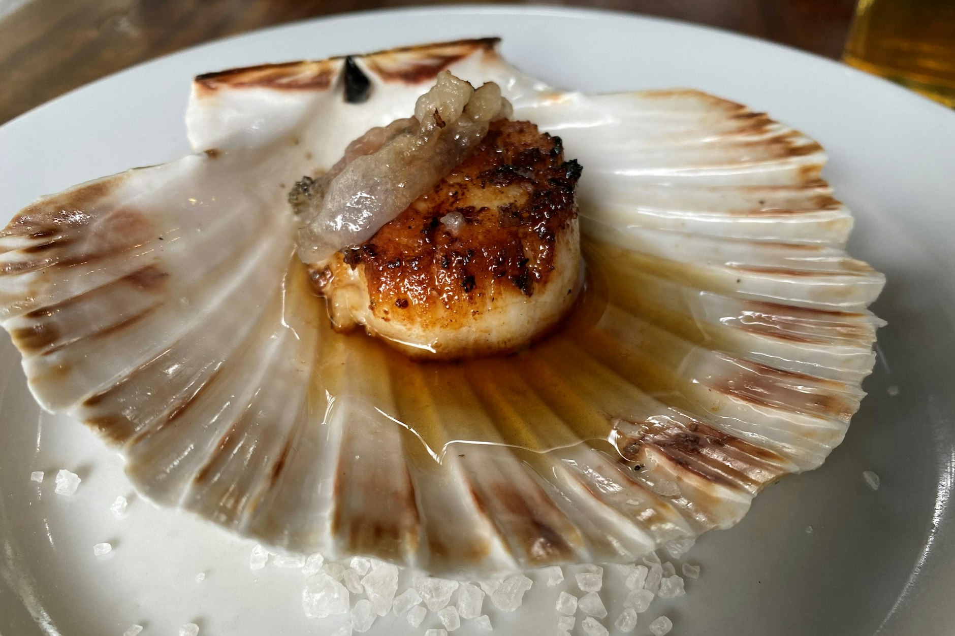 Erste Vorspeise: Gratinierte Jakobsmuschel mit Lardo. Gereiftes Schwein triff auf die Frische der Irischen See. Unbedingt bestellen, sagt unser Koch Felix Hanika.