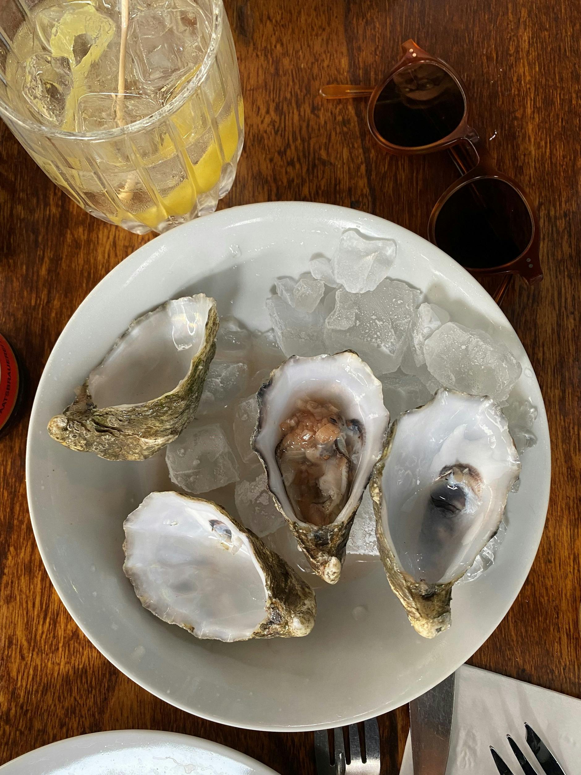 Die frischen Austern sind so schnell weggeschlürft, so schnell können Sie gar nicht schauen! Dazu gibt’s einen Port-Tonic.