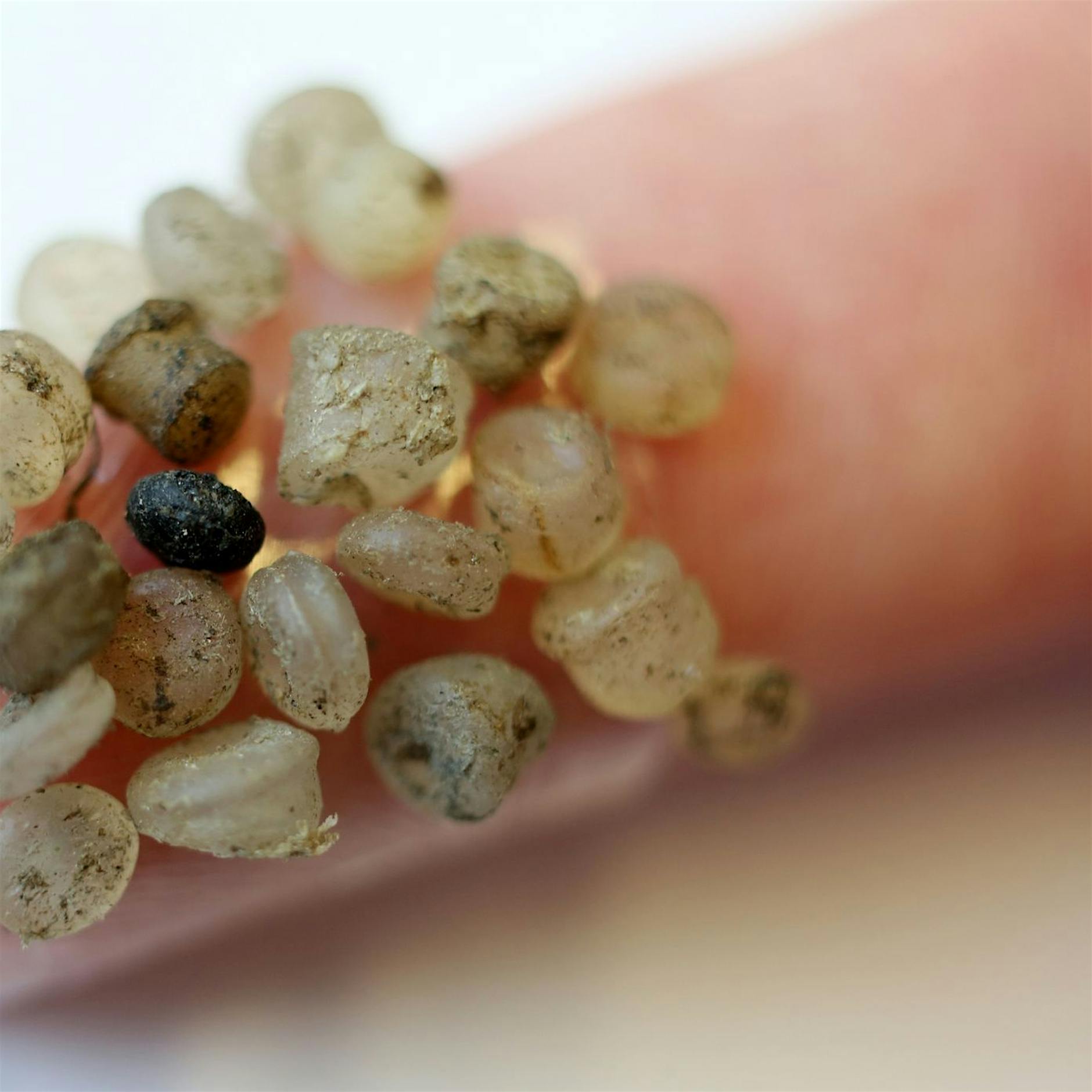 Image - Erste Studie zu Mikroplastik in Tiefen des Nordost-Atlantik