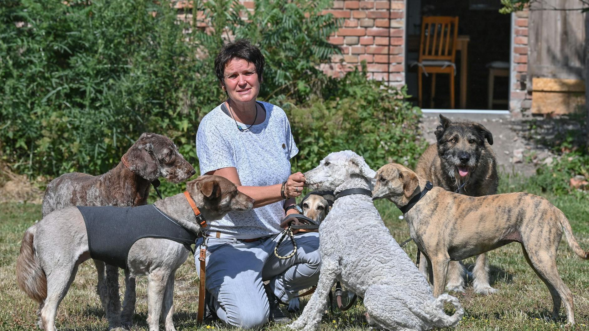 Antje Krause-Neufeld mit einer Gruppe von Hunden auf ihrem Angsthundehof.