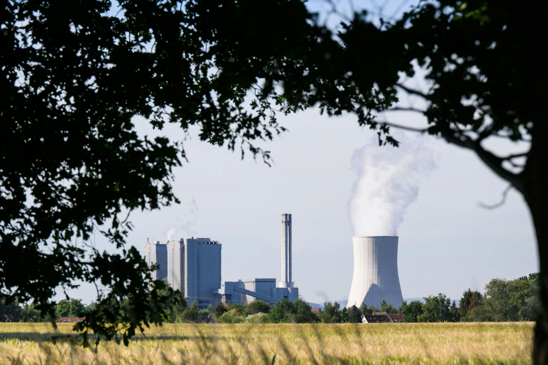 Rauch steigt aus dem Kühlturm des Kohlekraftwerks Stöcken in Niedersachsen.